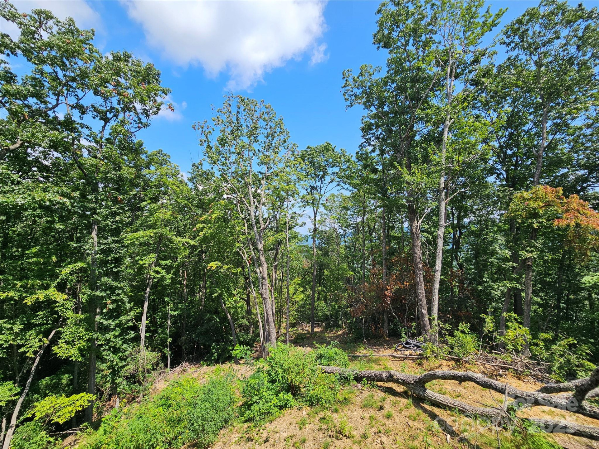 266 Potomac Falls Drive - Photo 39