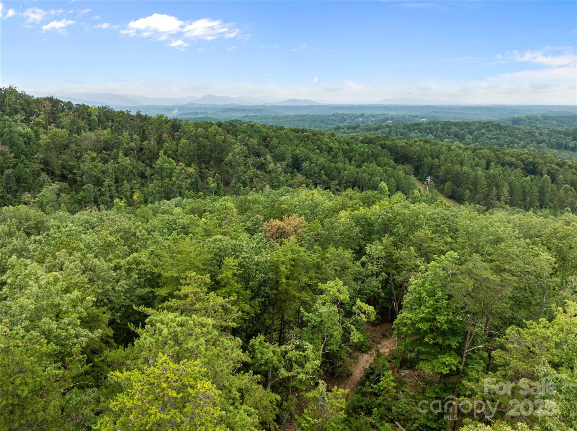 823 Silver Creek Road - Photo 11