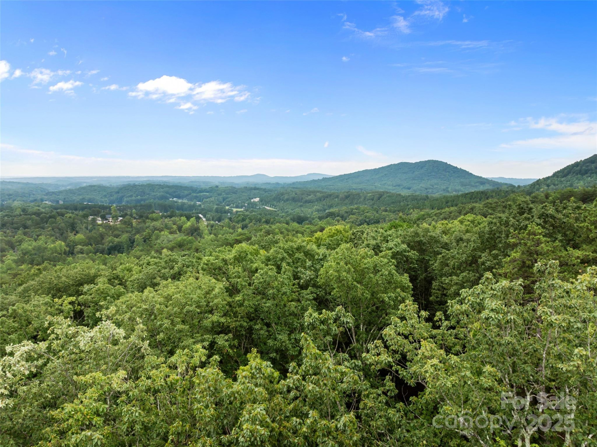 823 Silver Creek Road - Photo 12