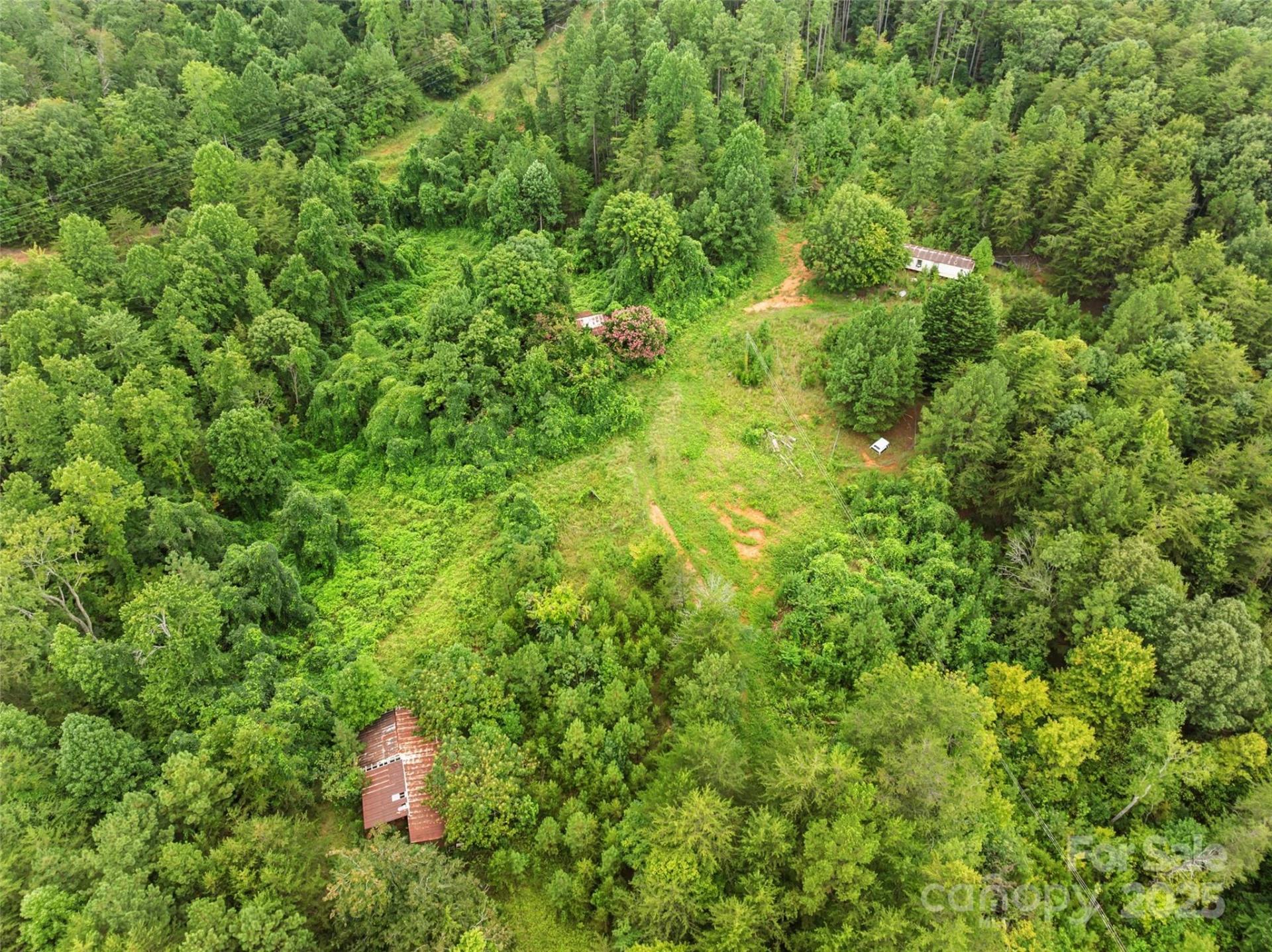 823 Silver Creek Road - Photo 13