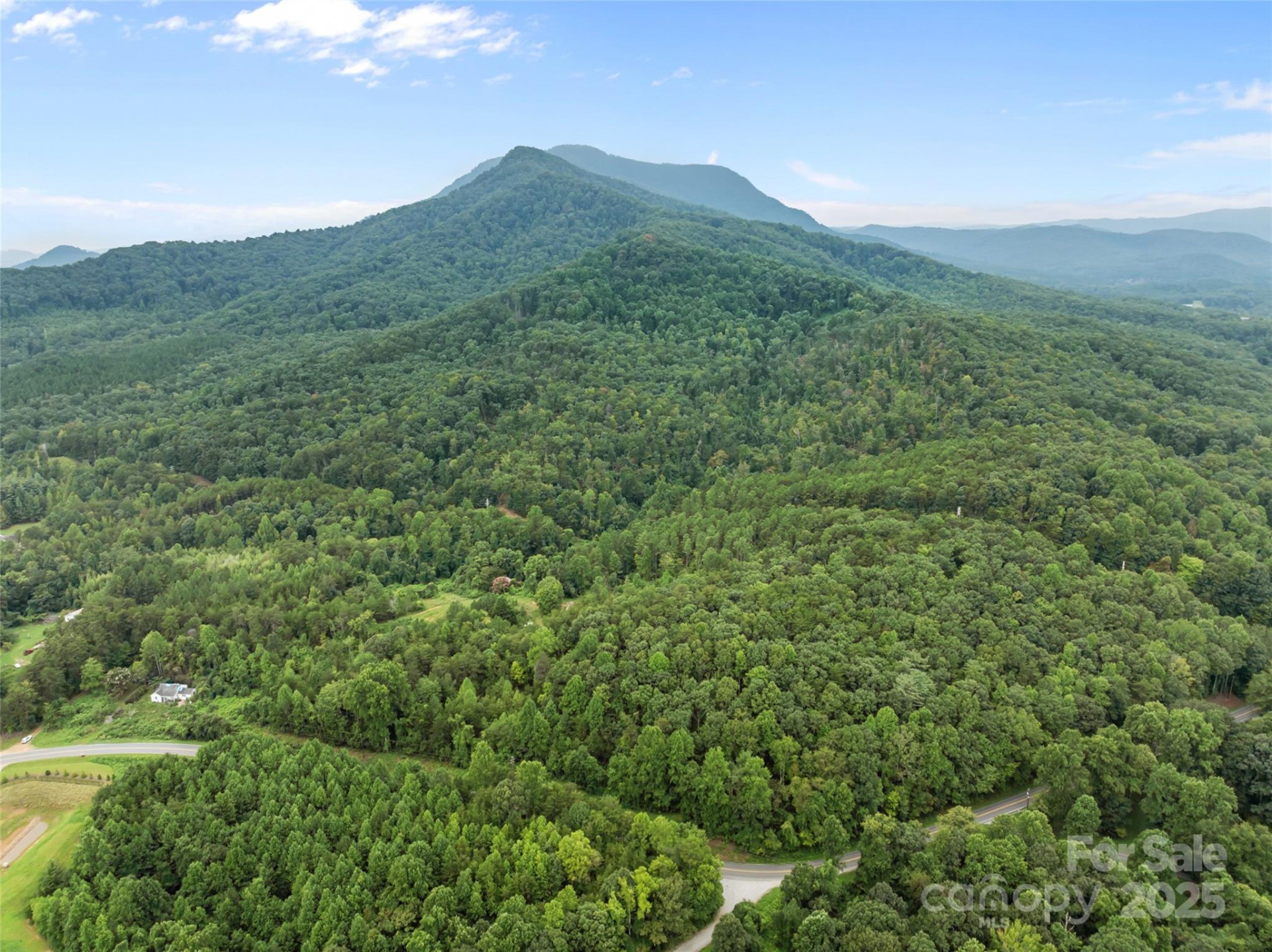 823 Silver Creek Road - Photo 5