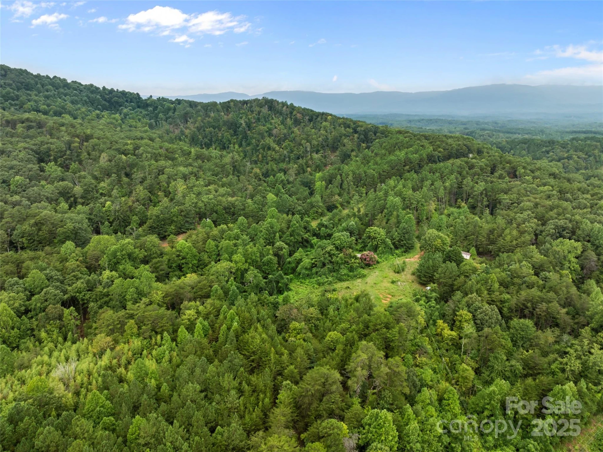 823 Silver Creek Road - Photo 8
