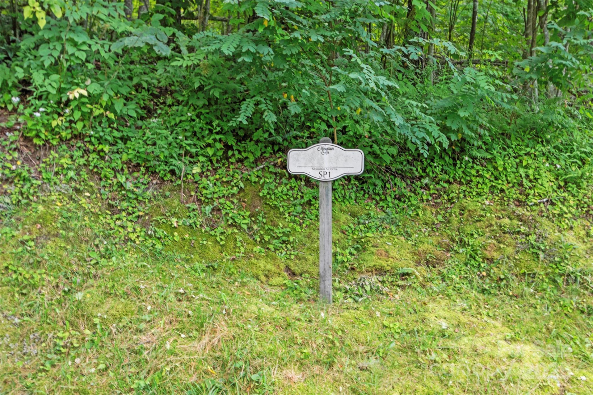 Special Parcel 1 Mountain Air Drive - Photo 3