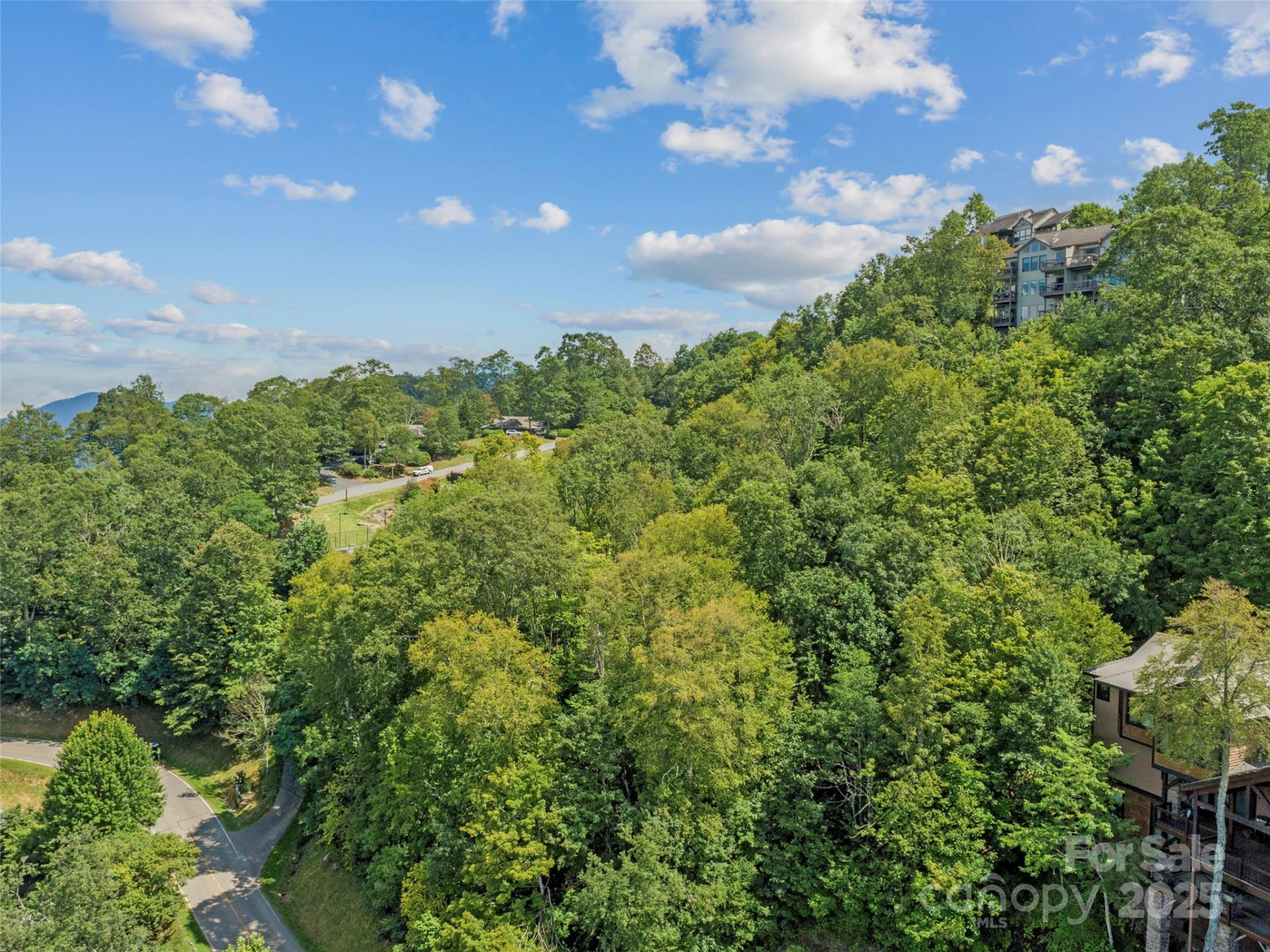 Special Parcel 1 Mountain Air Drive - Photo 4