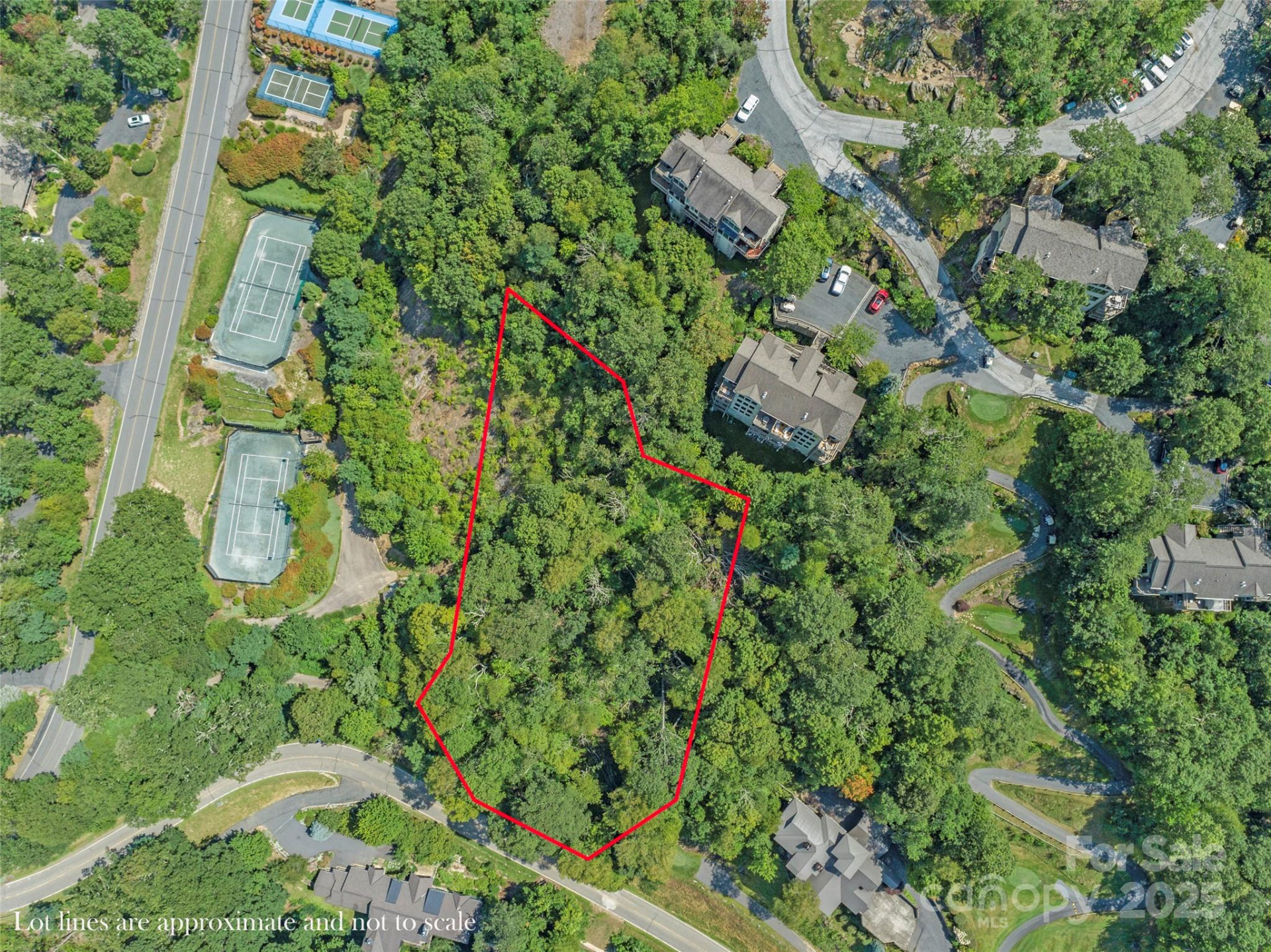 Special Parcel 1 Mountain Air Drive - Photo 9