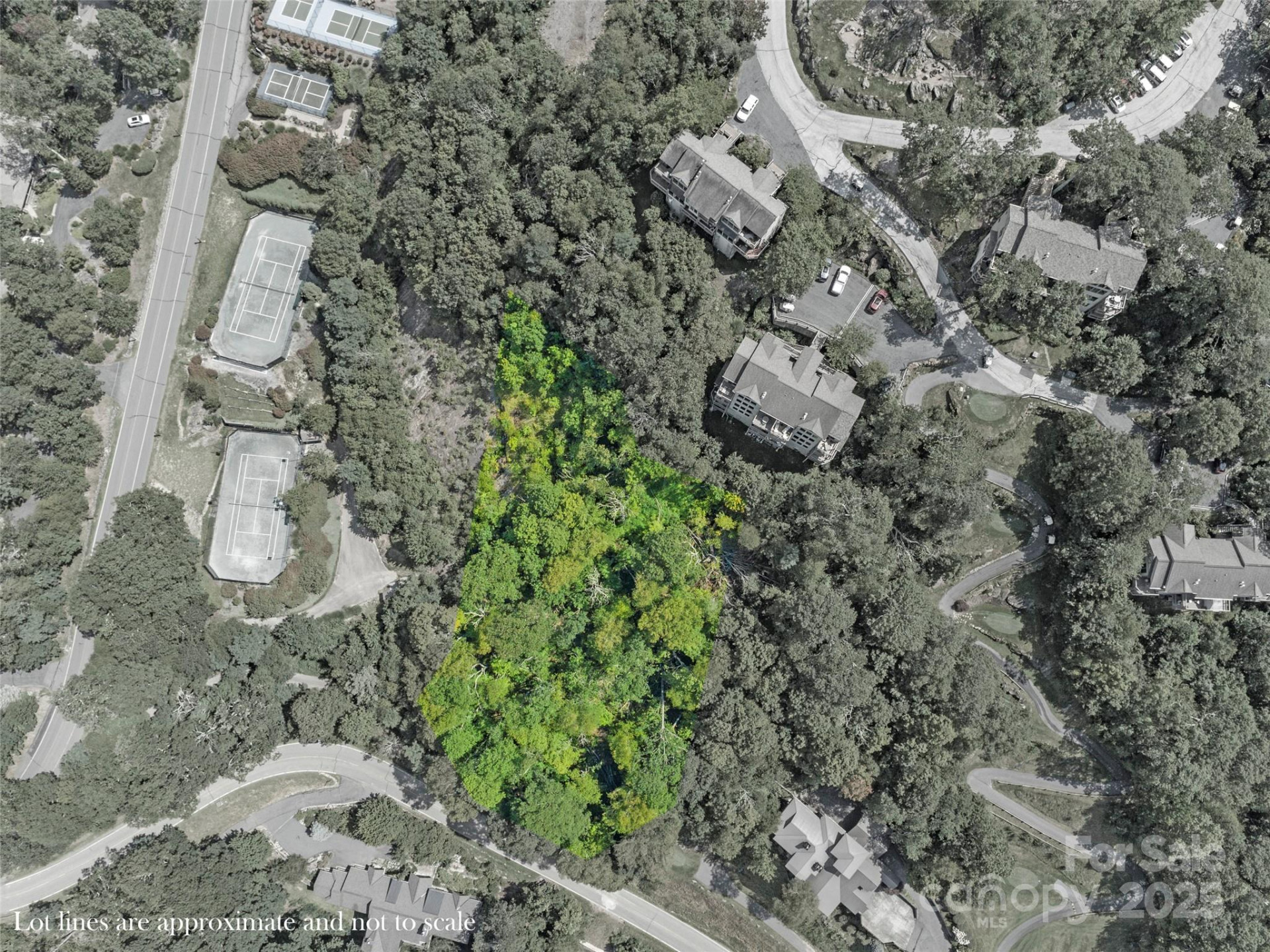 Special Parcel 1 Mountain Air Drive - Photo 10