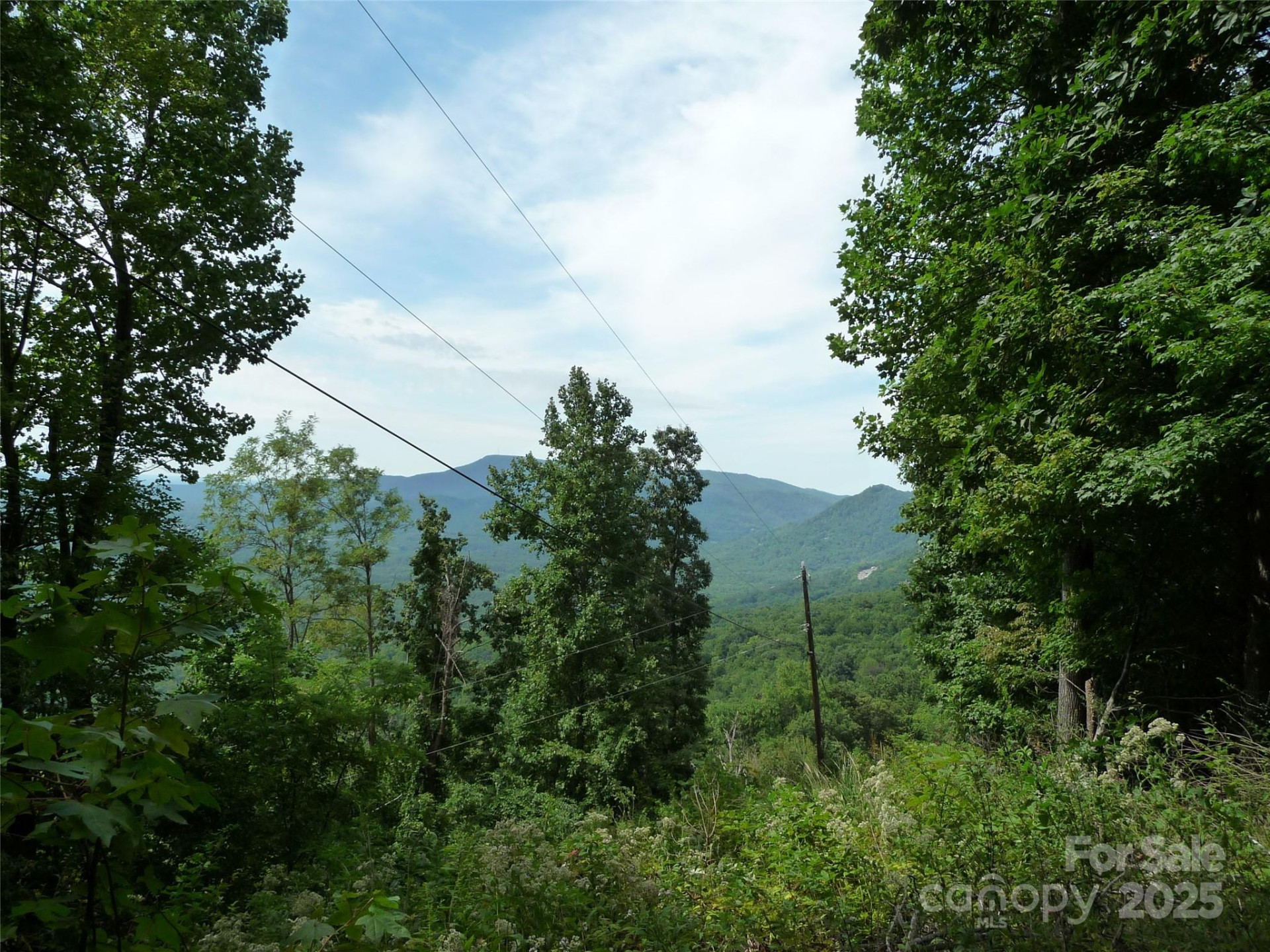 999 Skyuka Mountain Road #Lot 9 - Photo 2