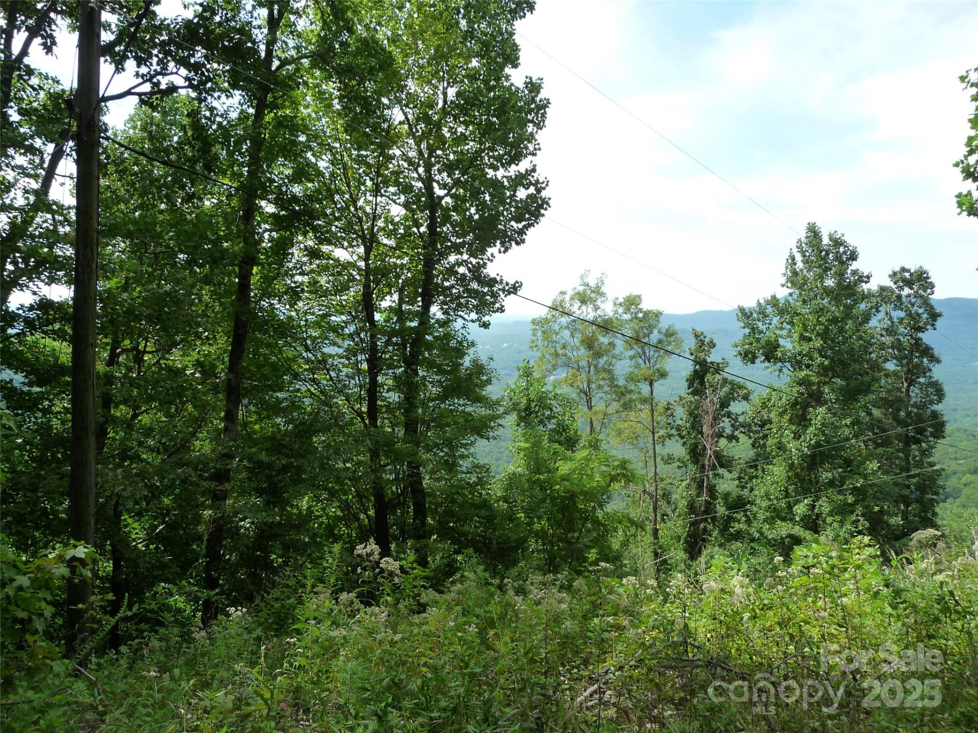 999 Skyuka Mountain Road #Lot 9 - Photo 3