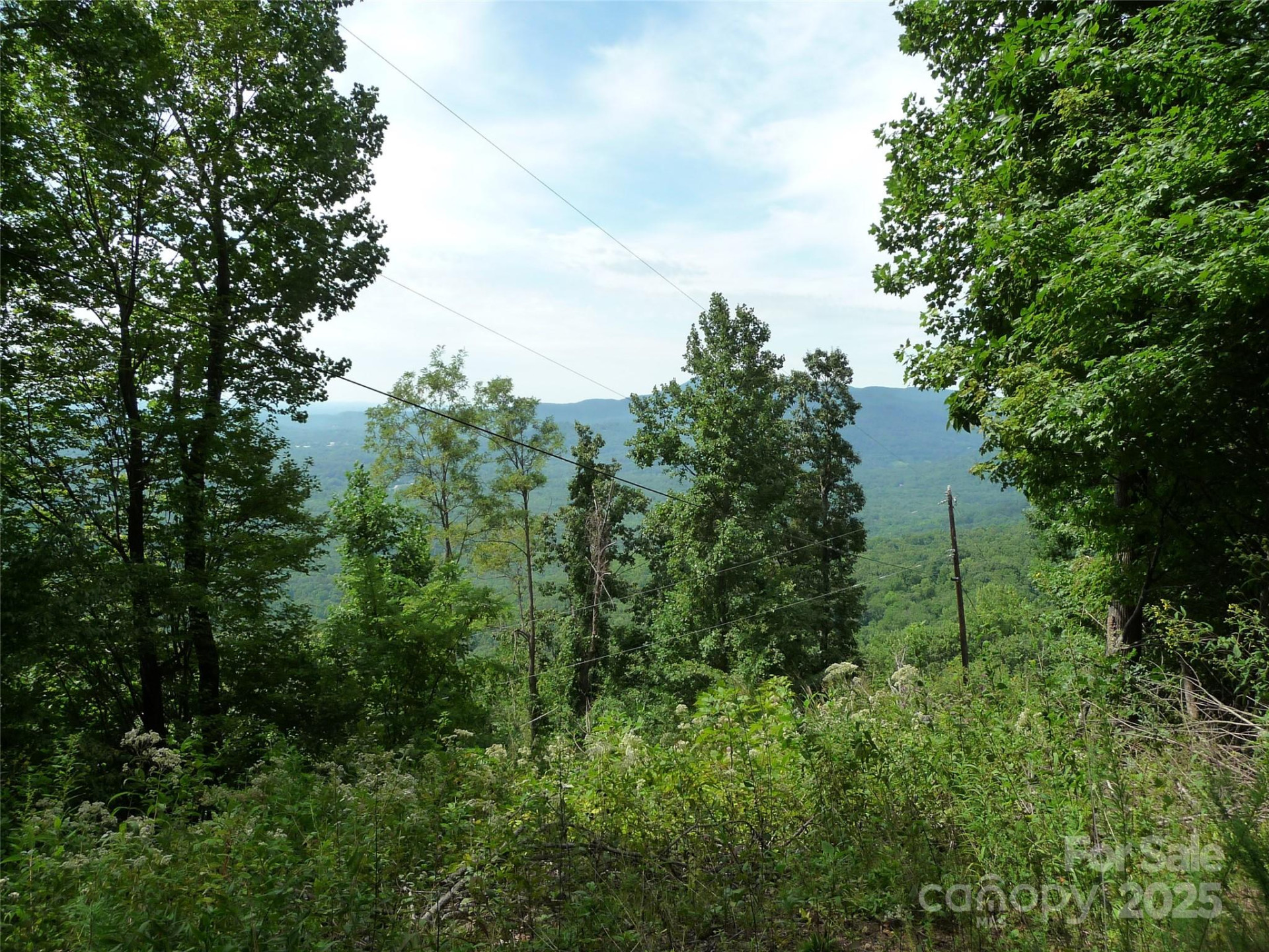 999 Skyuka Mountain Road #Lot 9 - Photo 4