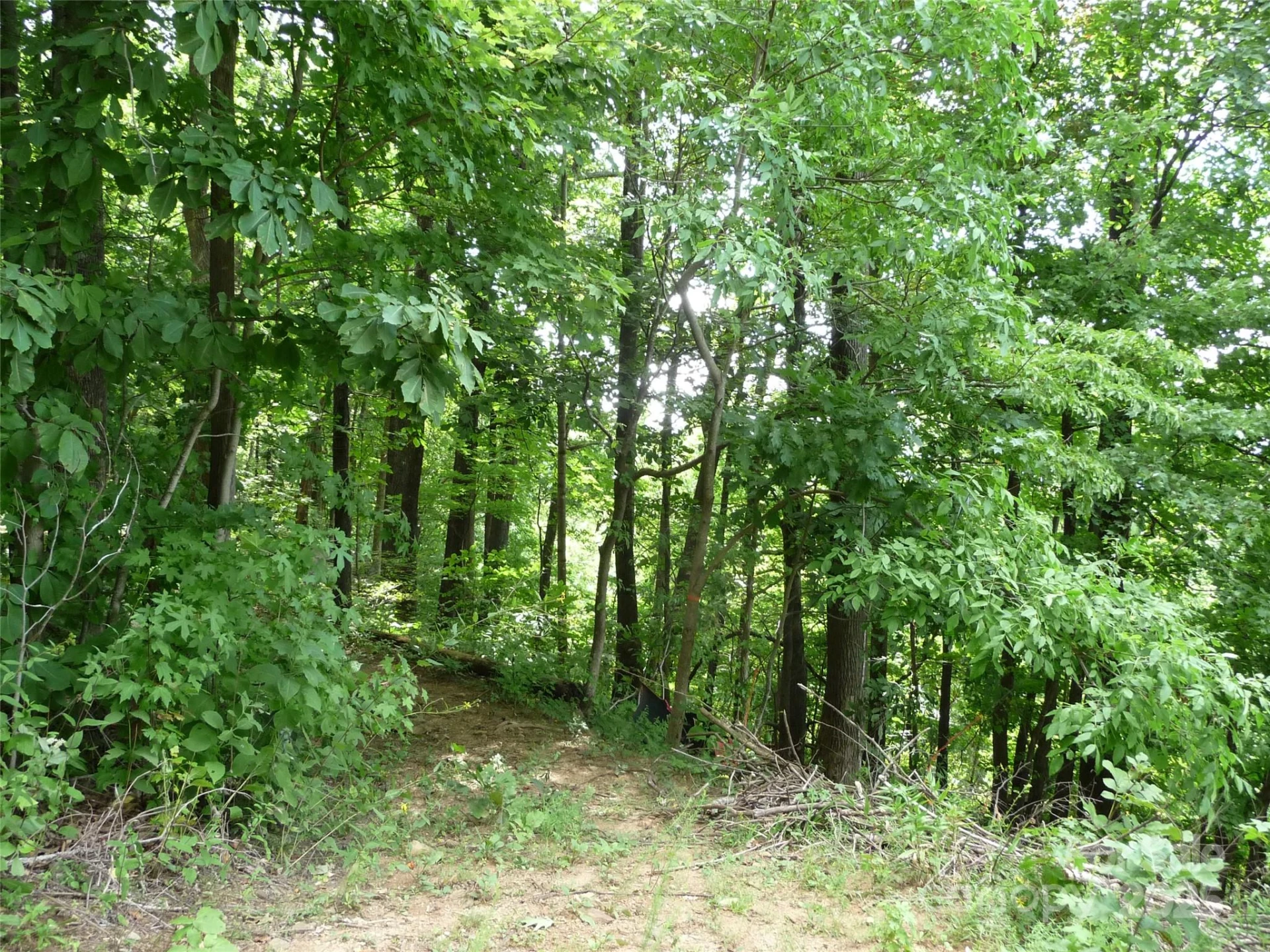 999 Skyuka Mountain Road #Lot 9 - Photo 5