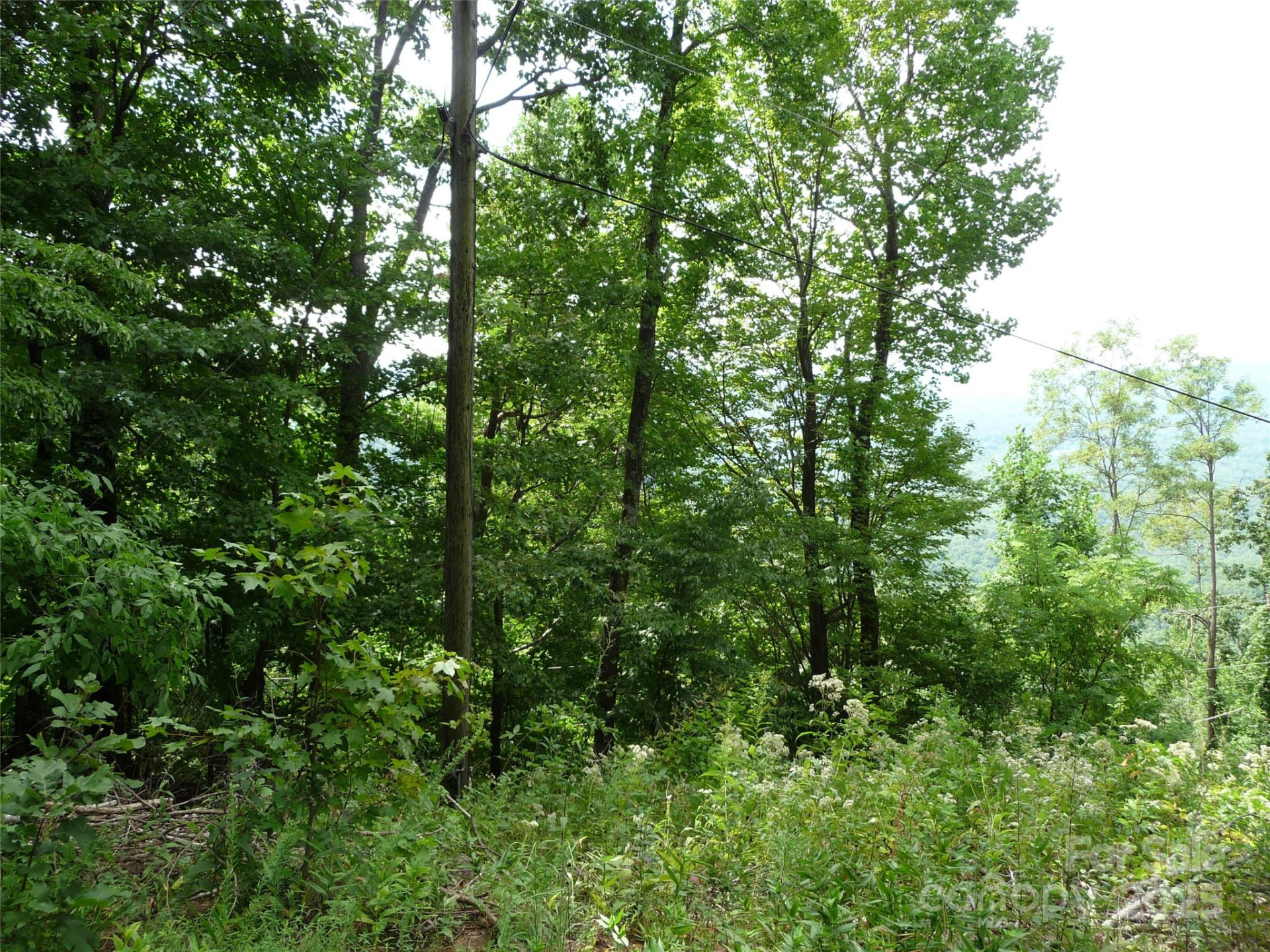 999 Skyuka Mountain Road #Lot 9 - Photo 6