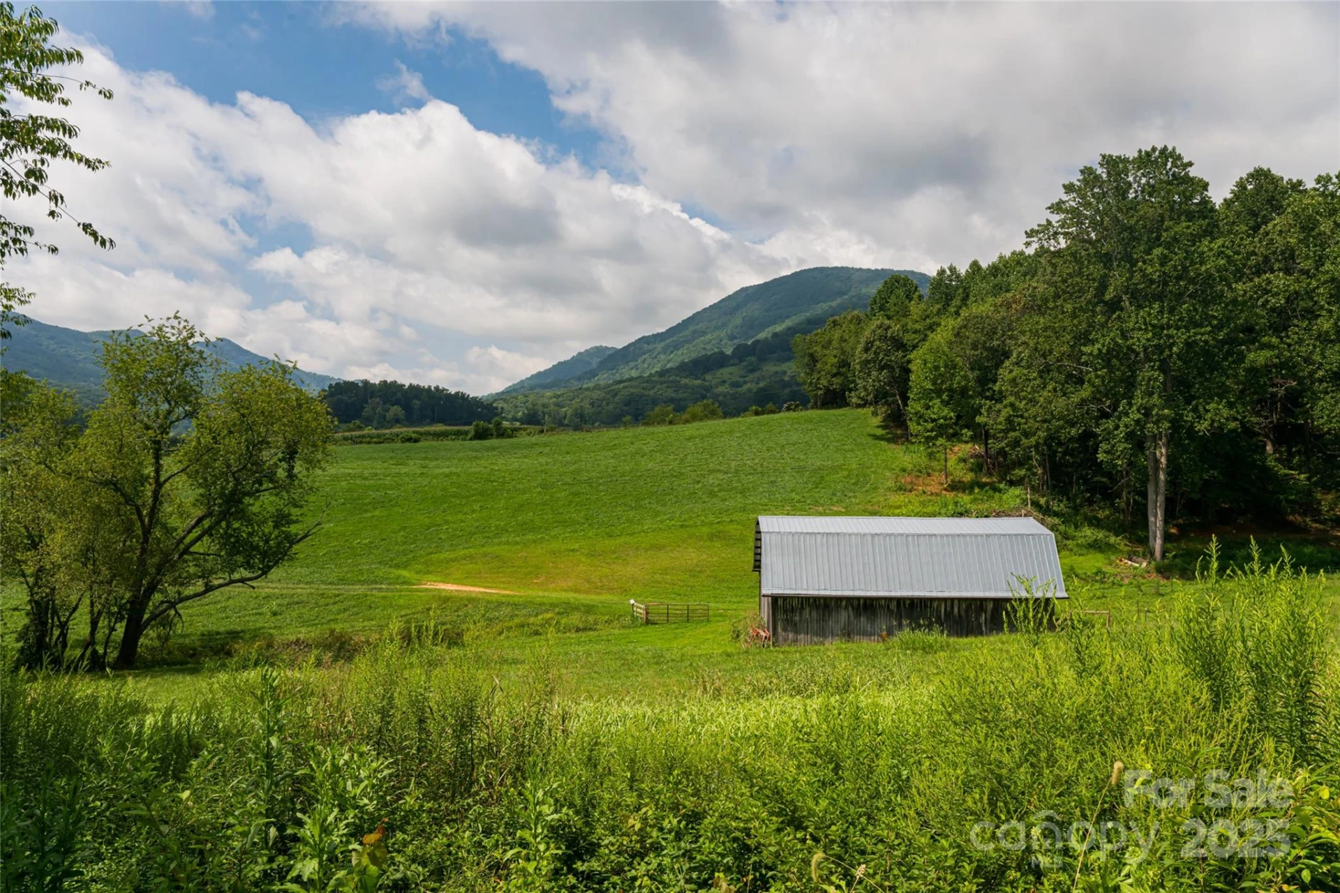 36 Brooks Branch Road - Photo 45