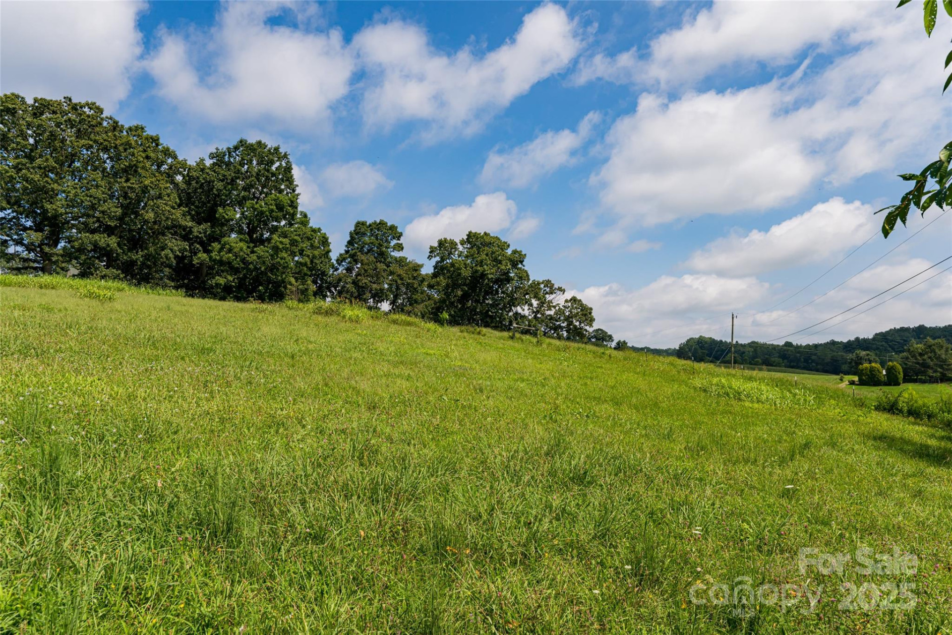36 Brooks Branch Road - Photo 46