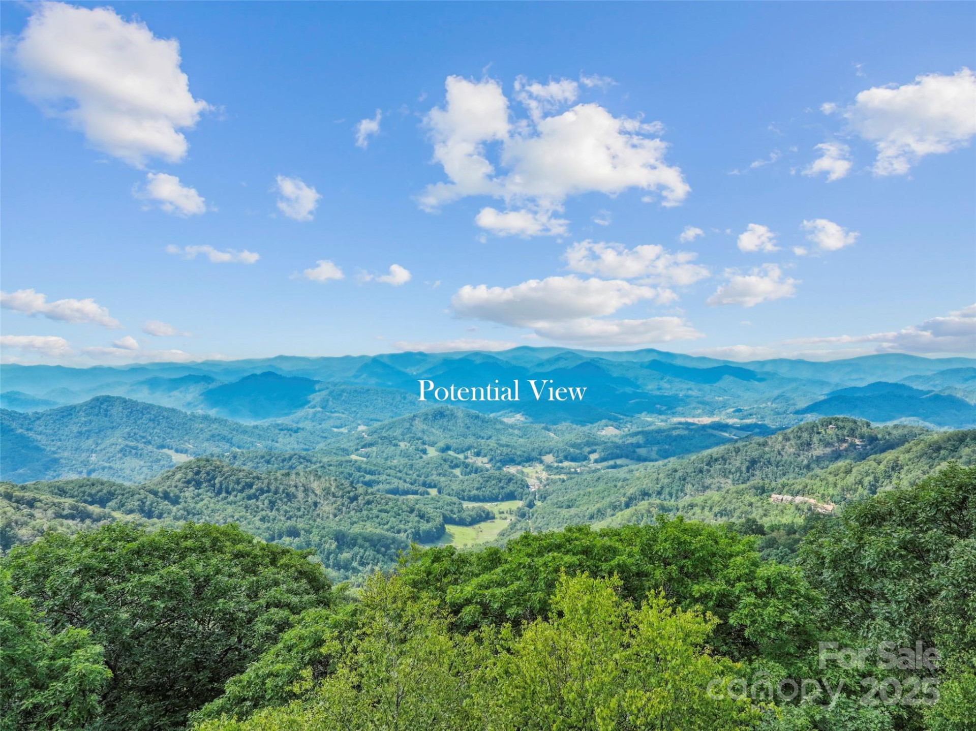 Lot 9 Wormy Chestnut Road - Photo 2