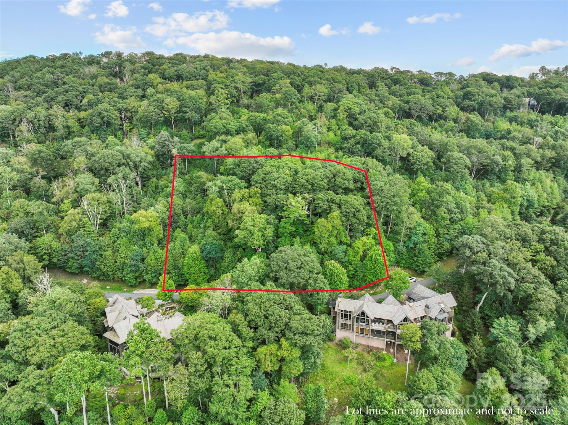 Lot 9 Wormy Chestnut Road - Photo 12