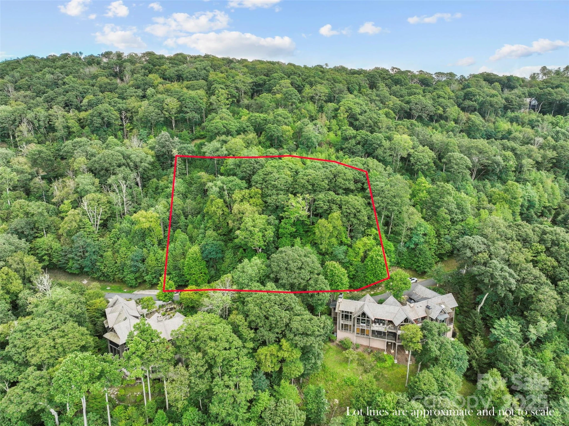 Lot 9 Wormy Chestnut Road - Photo 12