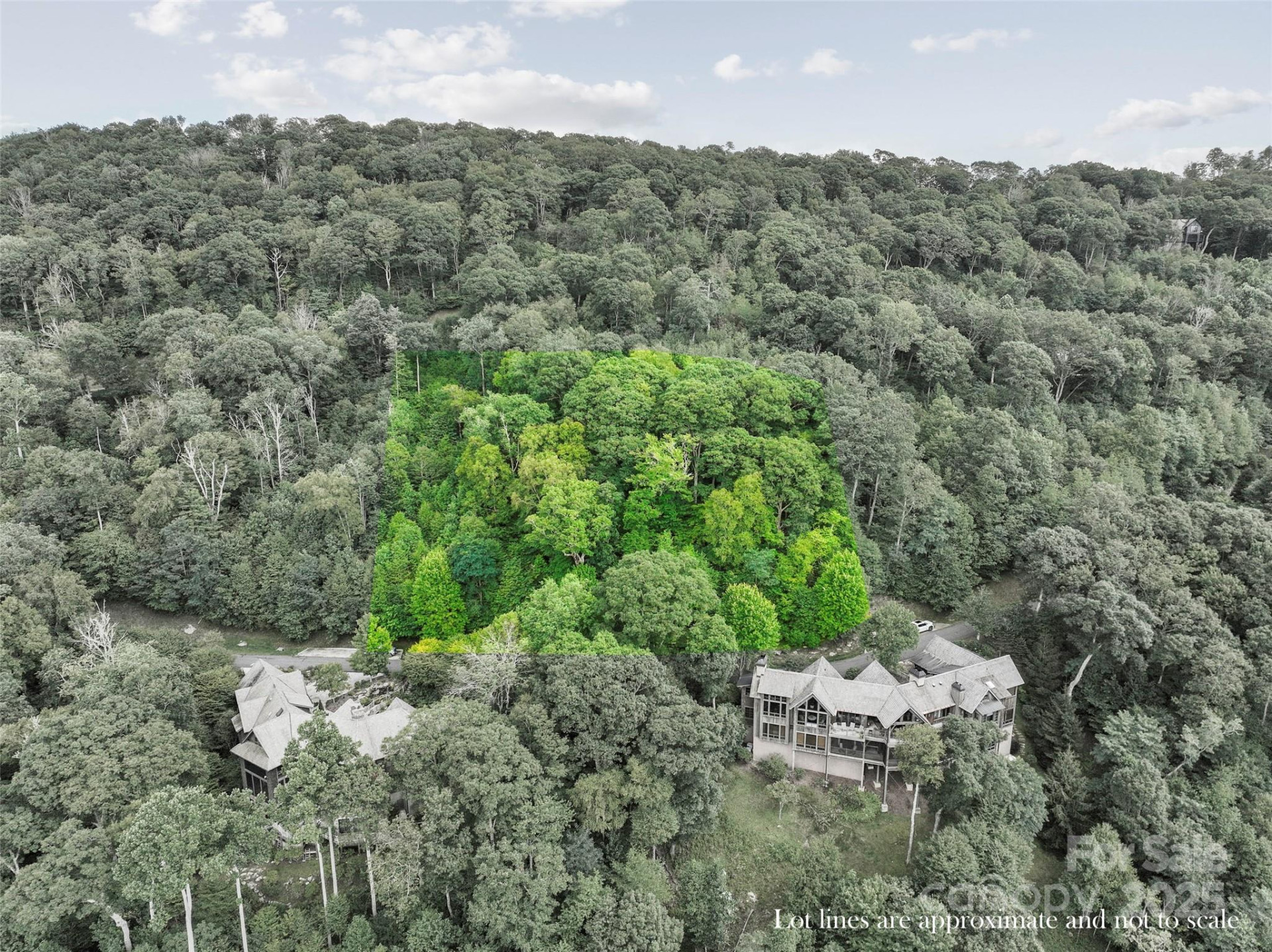 Lot 9 Wormy Chestnut Road - Photo 13