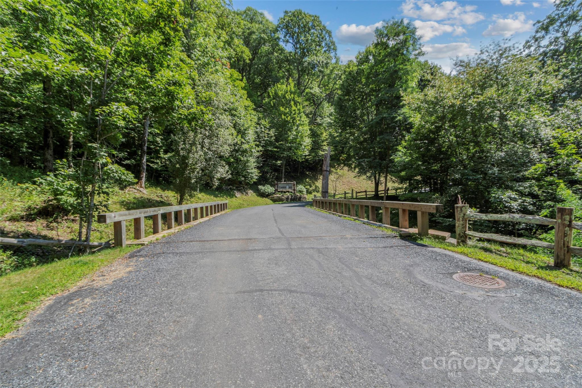 Lot 9 Wormy Chestnut Road - Photo 3