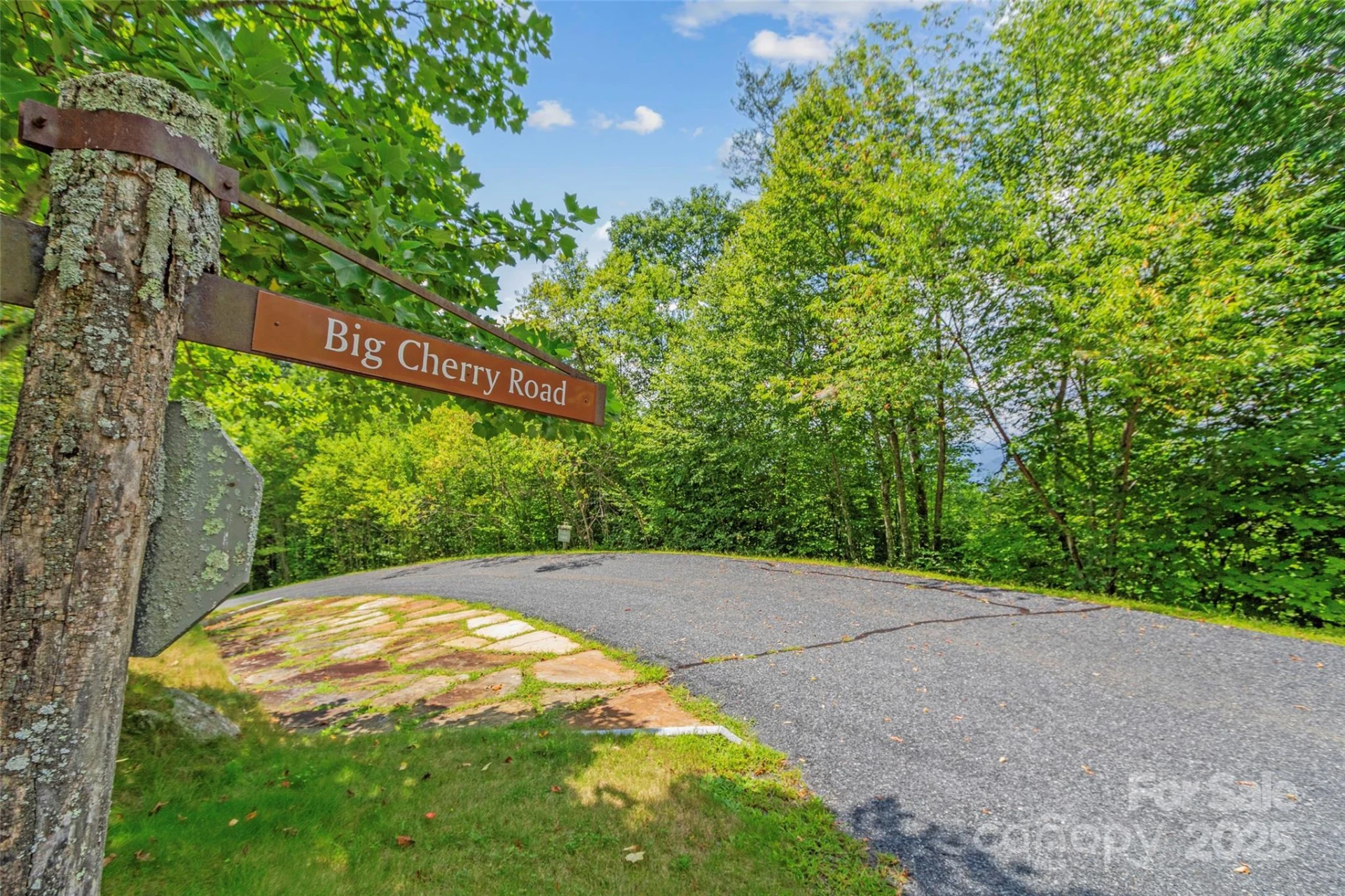 Lot 9 Wormy Chestnut Road - Photo 5