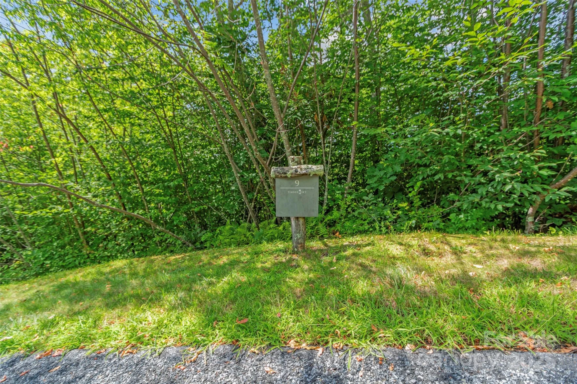 Lot 9 Wormy Chestnut Road - Photo 7
