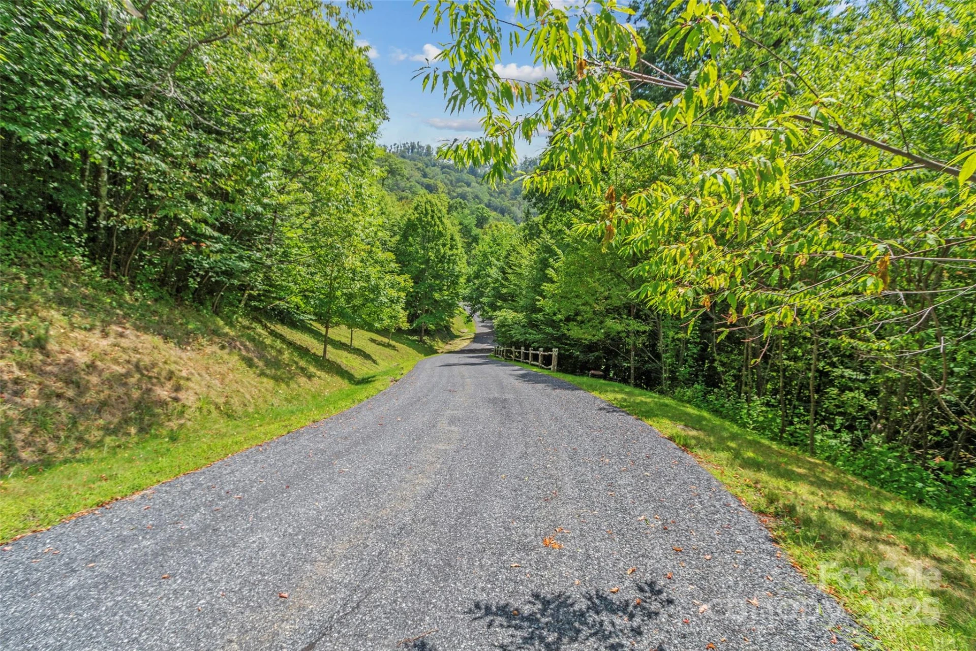 Lot 9 Wormy Chestnut Road - Photo 8