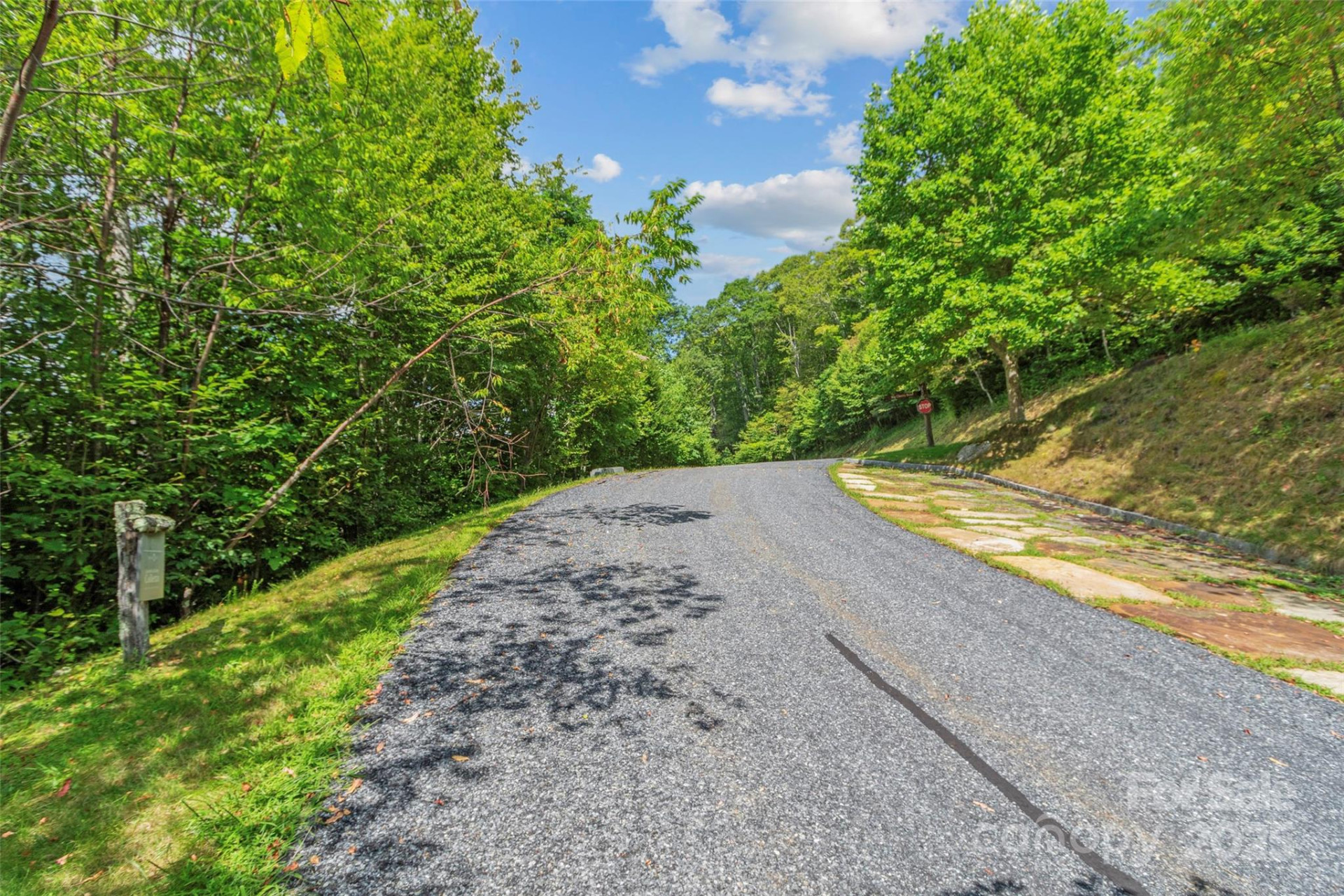 Lot 9 Wormy Chestnut Road - Photo 9