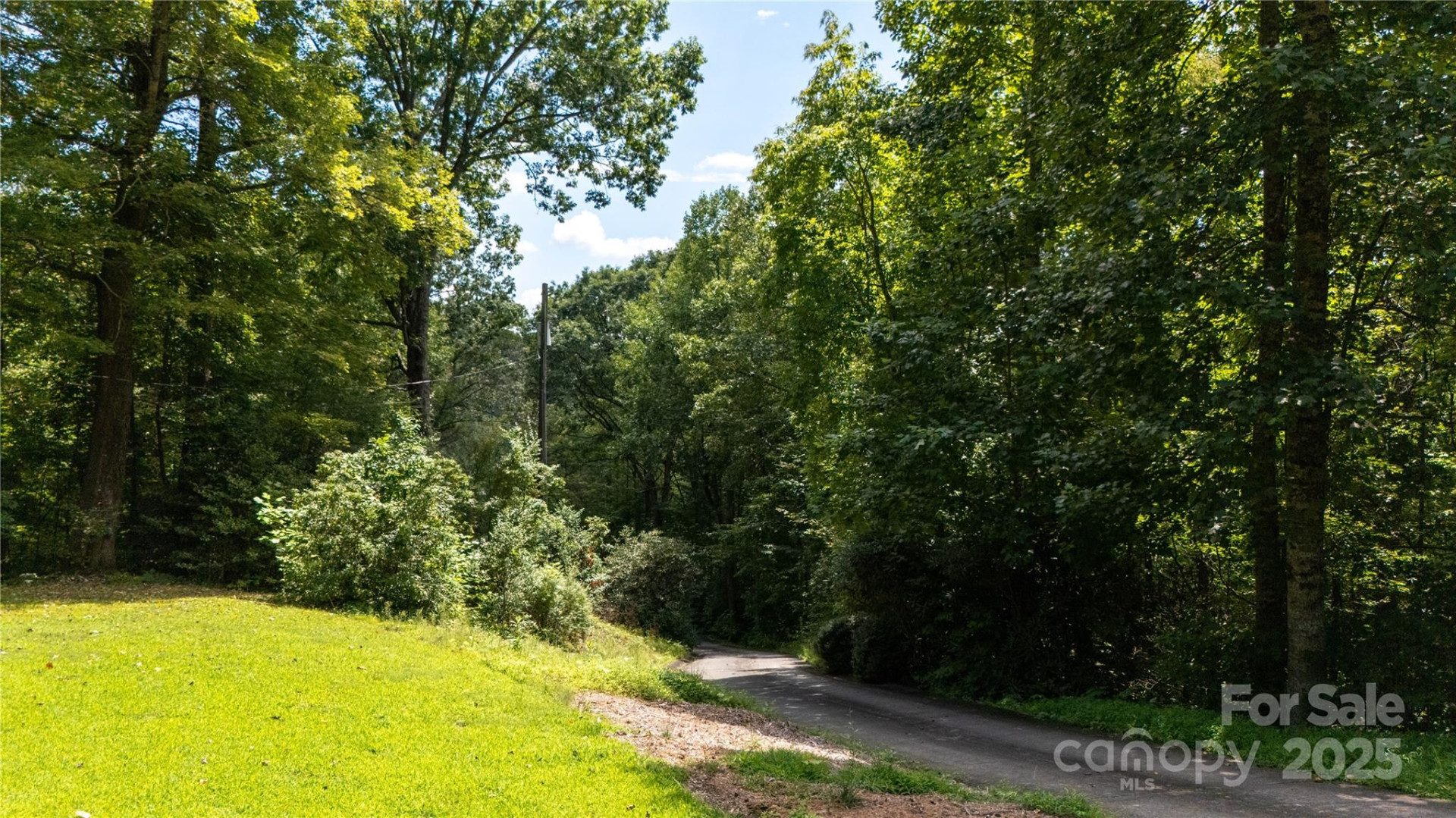 2038 Toms Creek Road - Photo 14