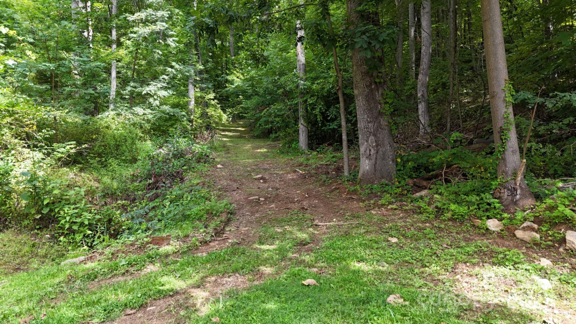 Lot 12 Roselyn Park Drive - Photo 2