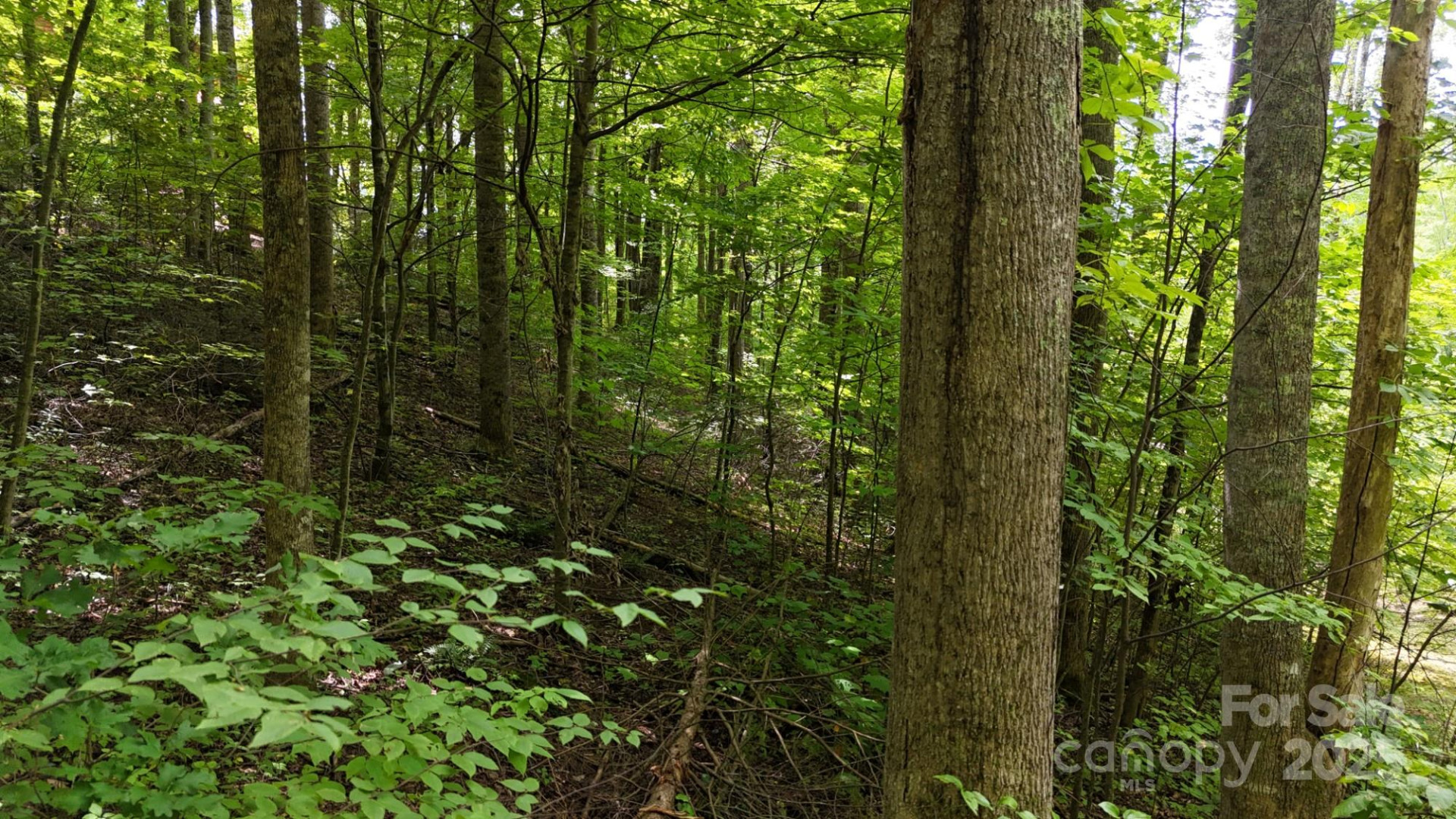 Lot 12 Roselyn Park Drive - Photo 13