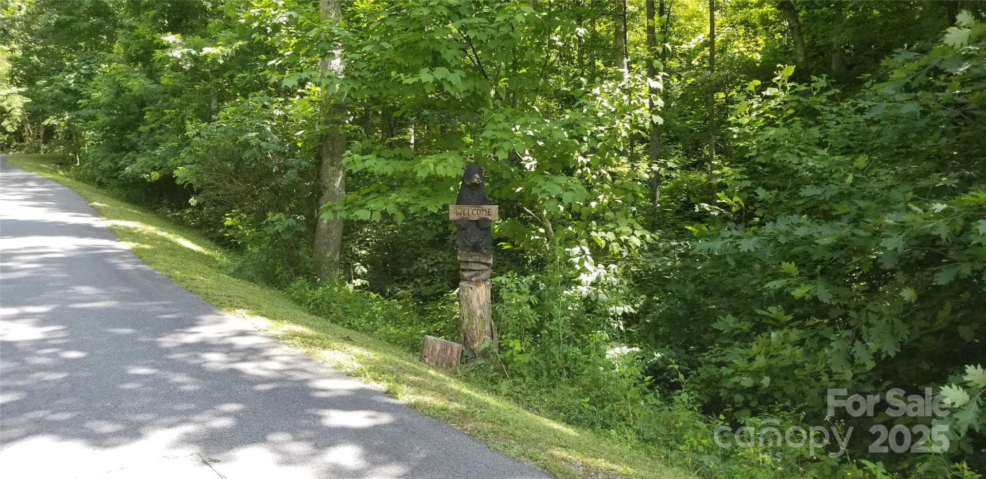 Lot 12 Roselyn Park Drive - Photo 18