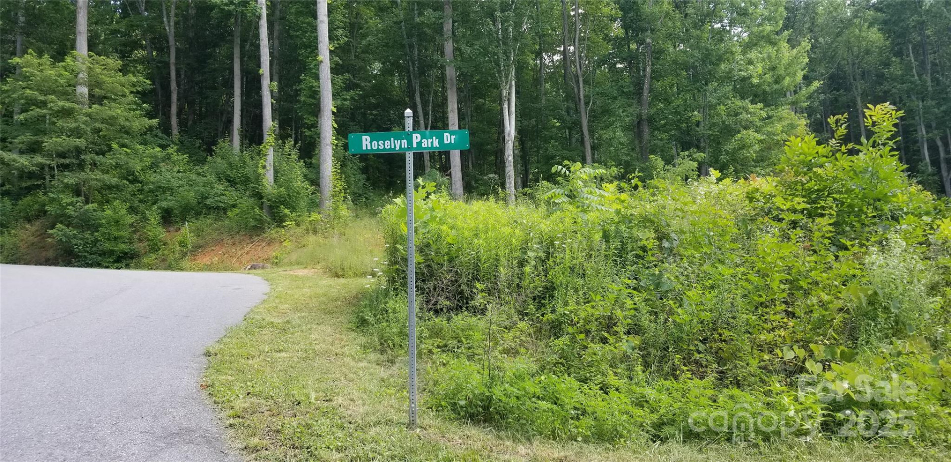 Lot 12 Roselyn Park Drive - Photo 20