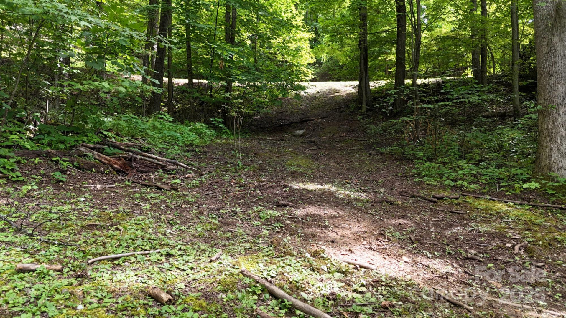 Lot 12 Roselyn Park Drive - Photo 5