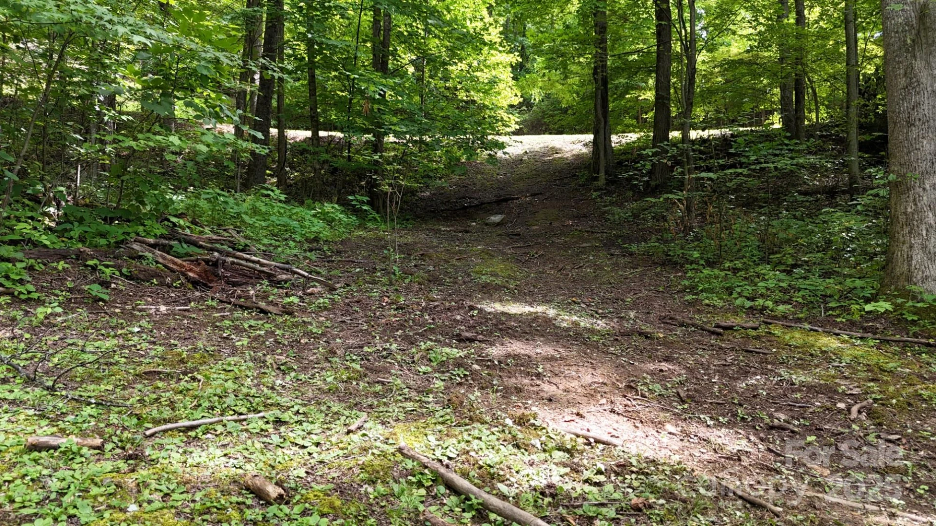 Lot 12 Roselyn Park Drive - Photo 5