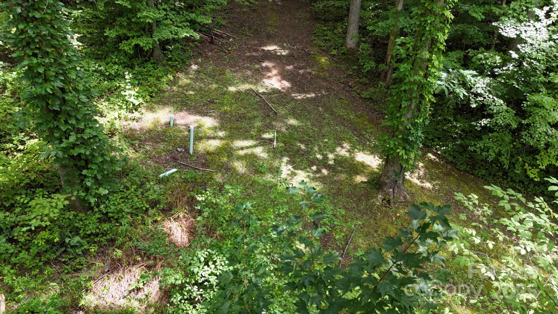 Lot 12 Roselyn Park Drive - Photo 6