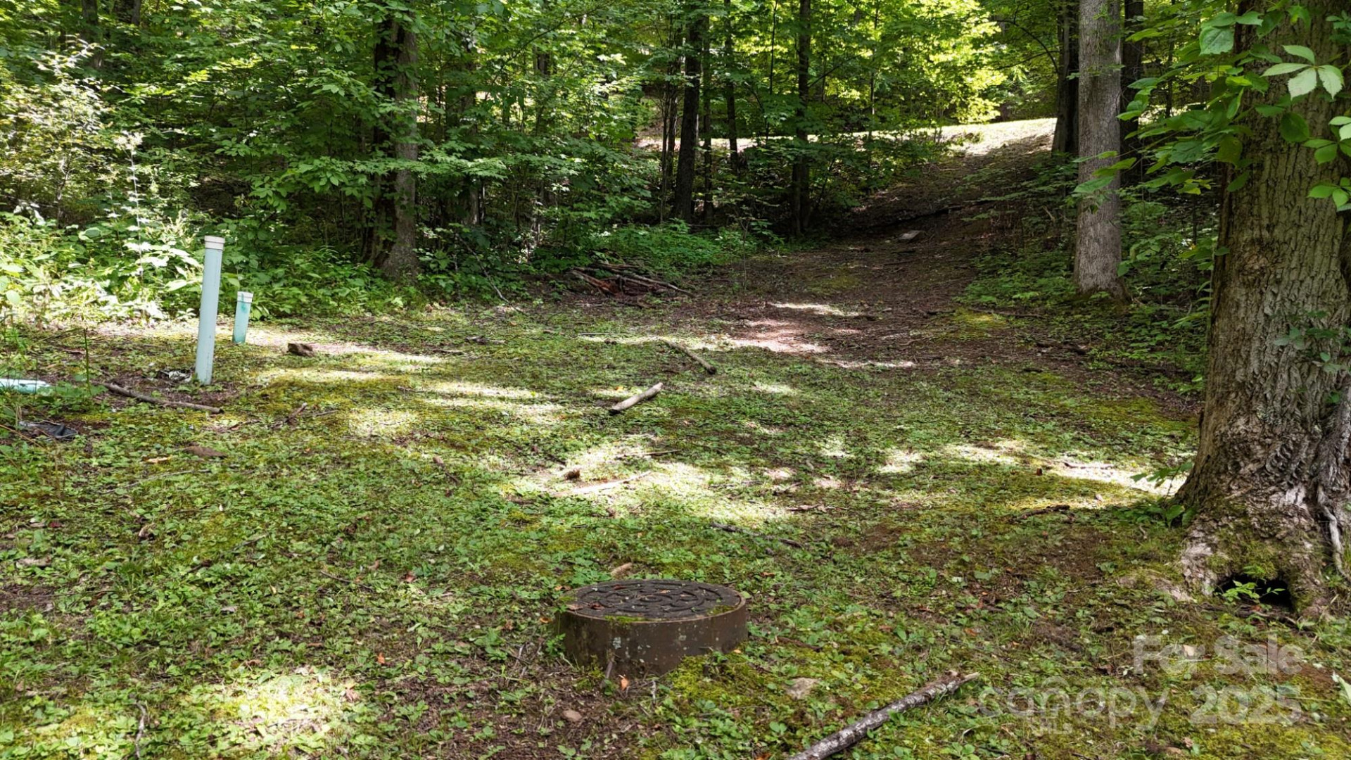 Lot 12 Roselyn Park Drive - Photo 7