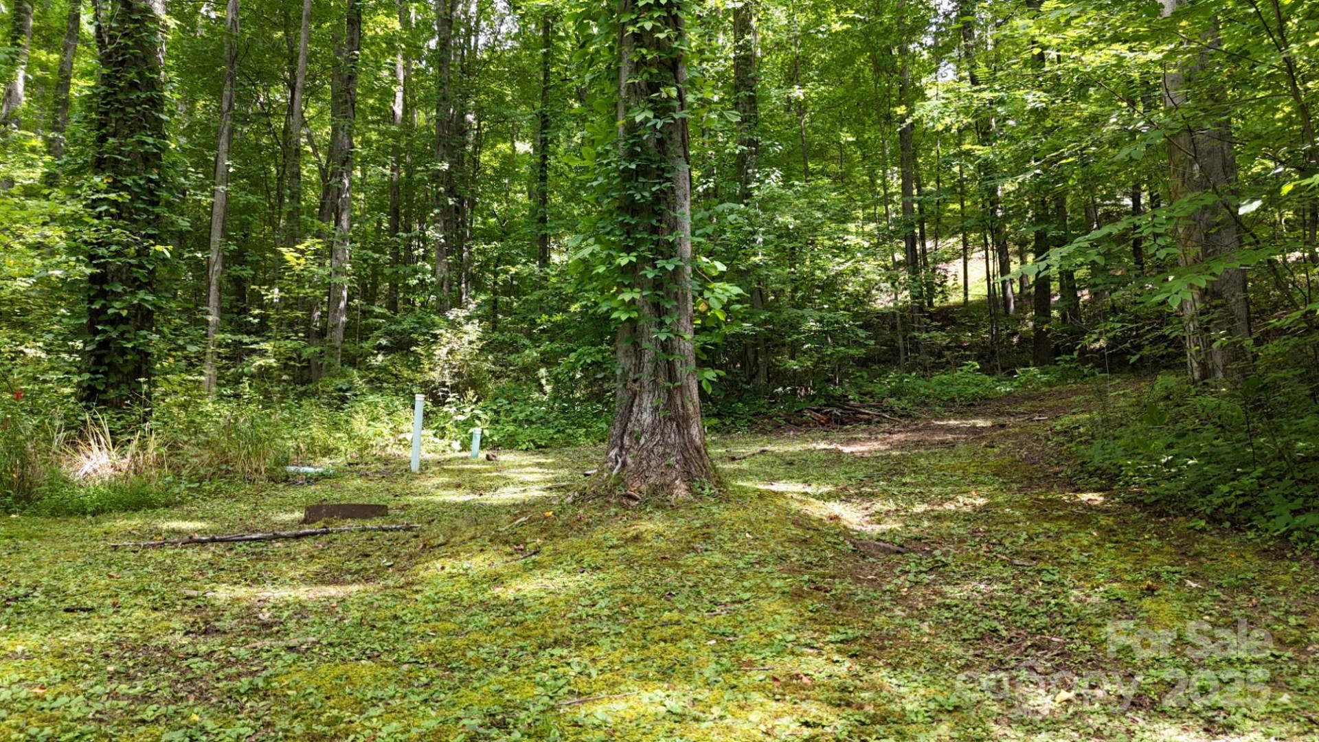 Lot 12 Roselyn Park Drive - Photo 8