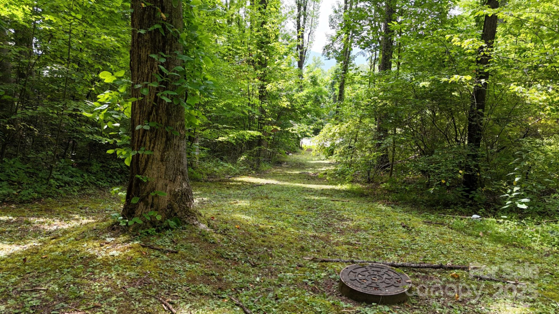 Lot 12 Roselyn Park Drive - Photo 9