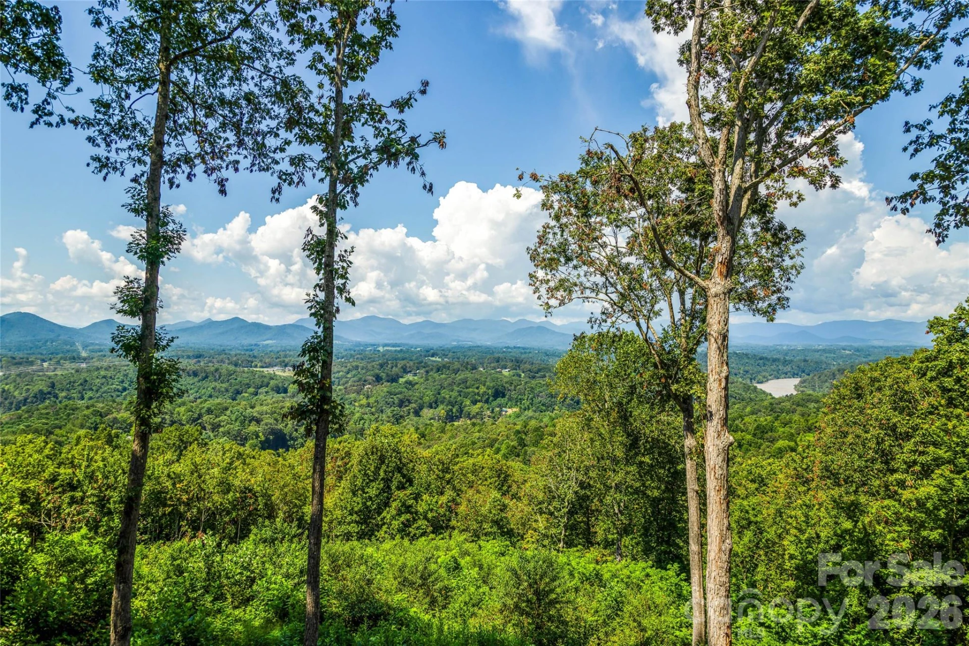 82 Running Ridge Road - Photo 35