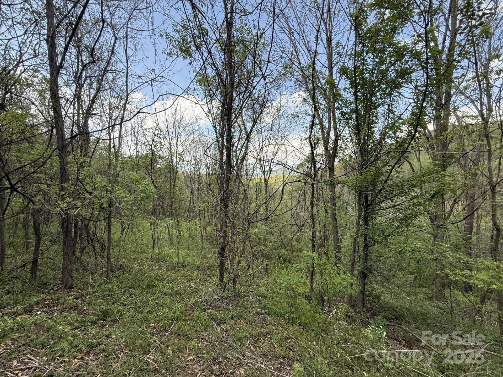 284 Northridge Drive - Photo 3