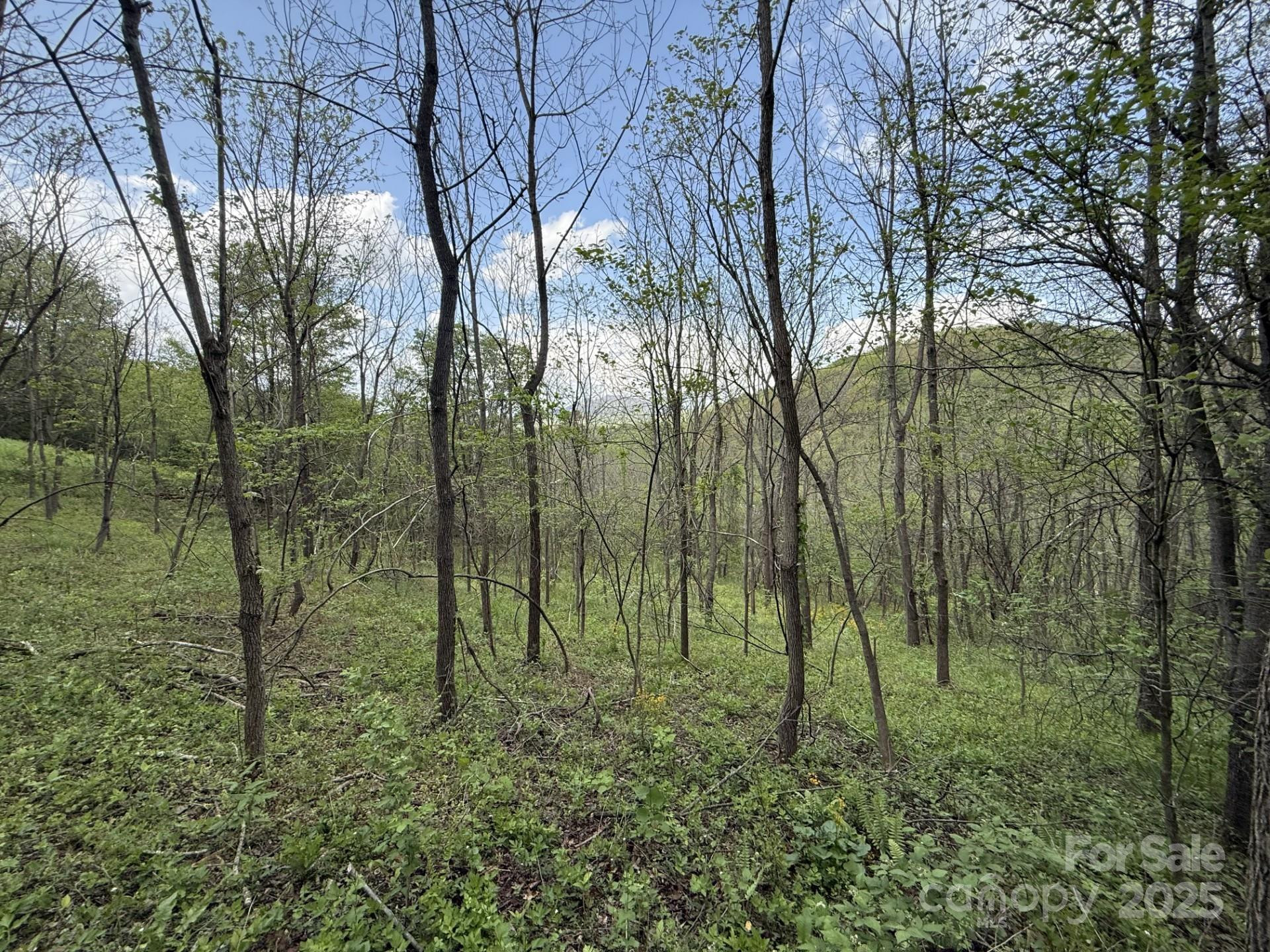 284 Northridge Drive - Photo 4