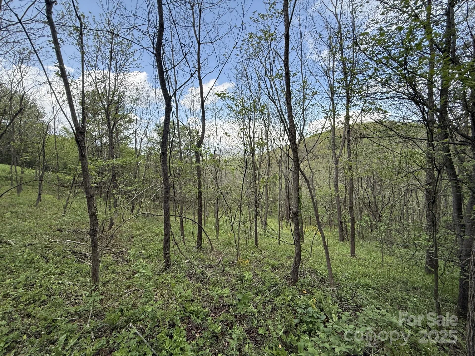 284 Northridge Drive - Photo 4