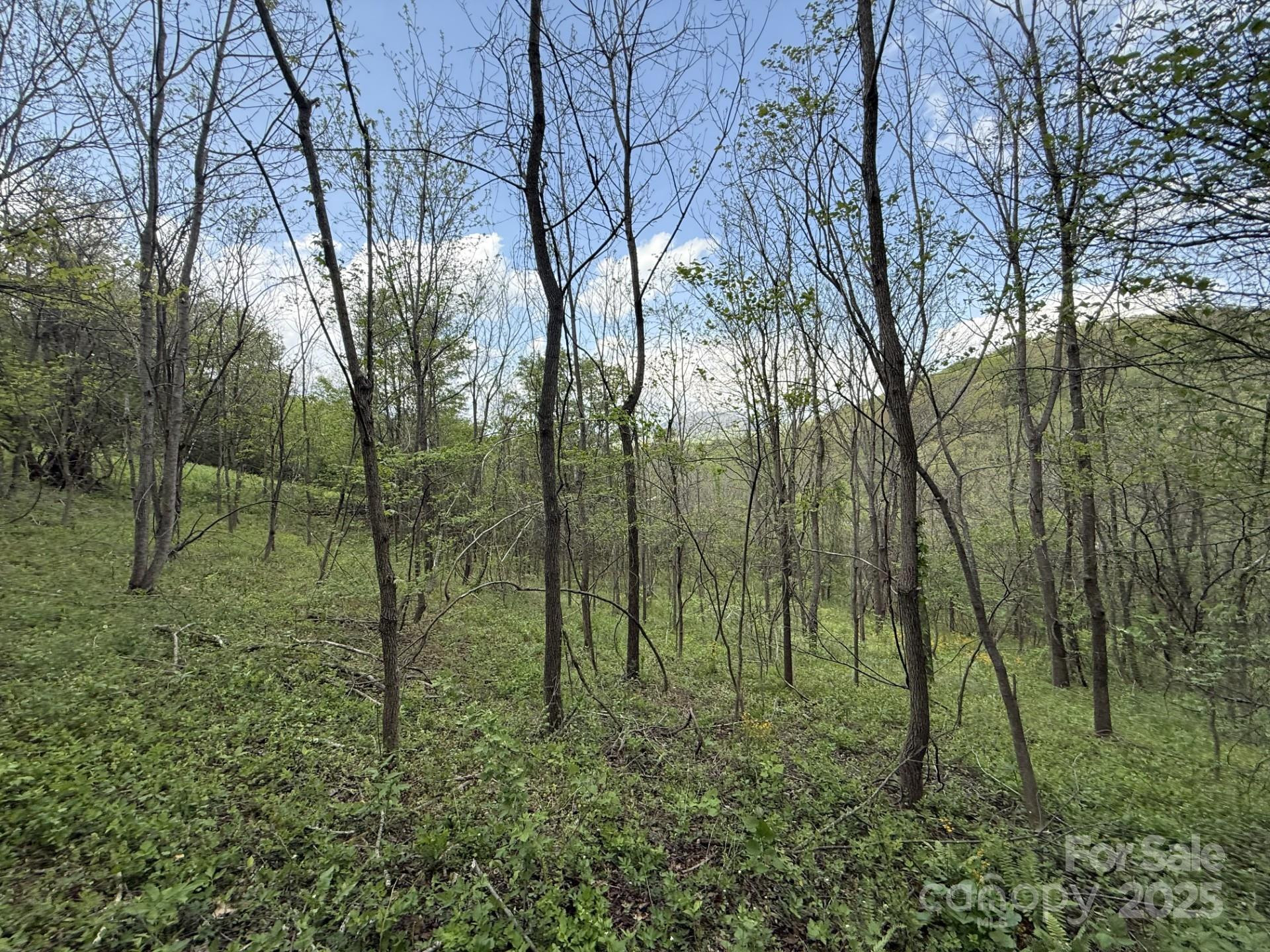 284 Northridge Drive - Photo 5