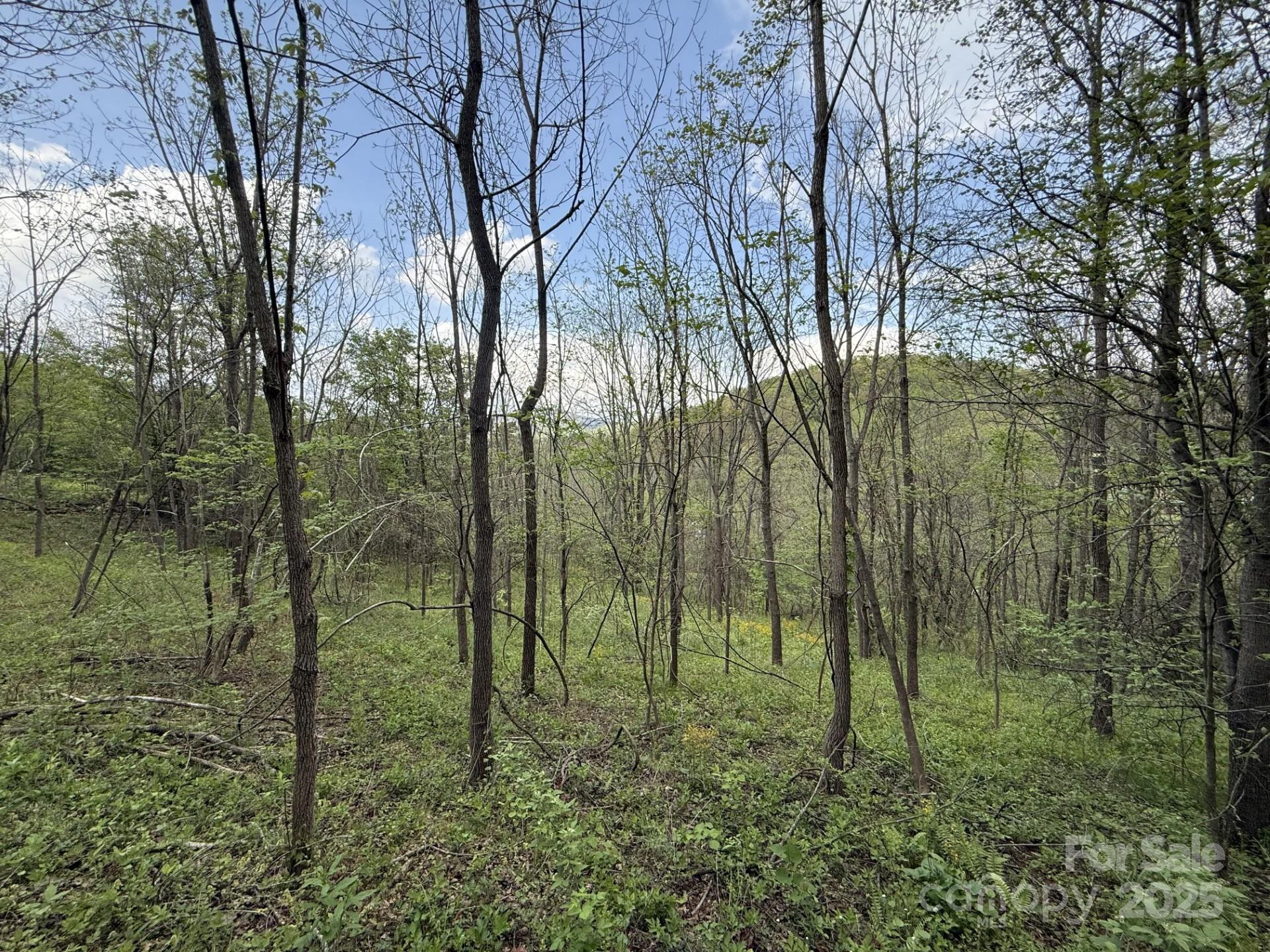 284 Northridge Drive - Photo 6