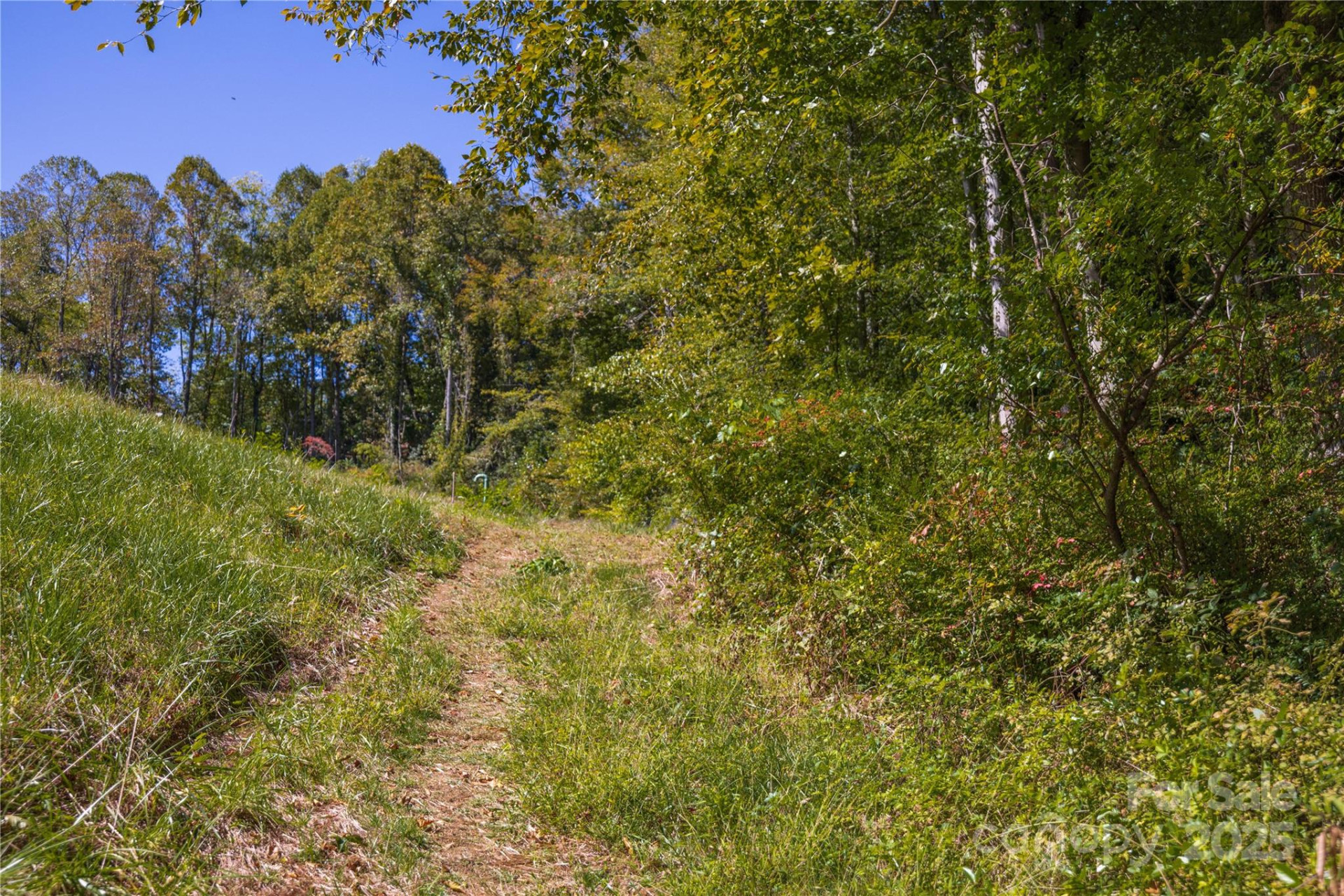 5 Orrinel Way - Photo 39