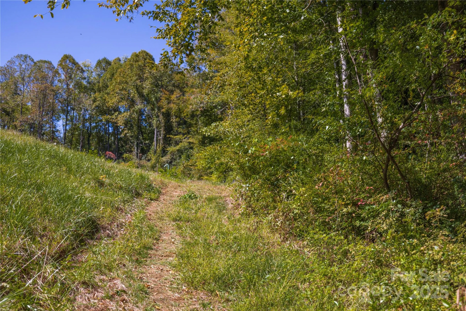 5 Orrinel Way - Photo 39