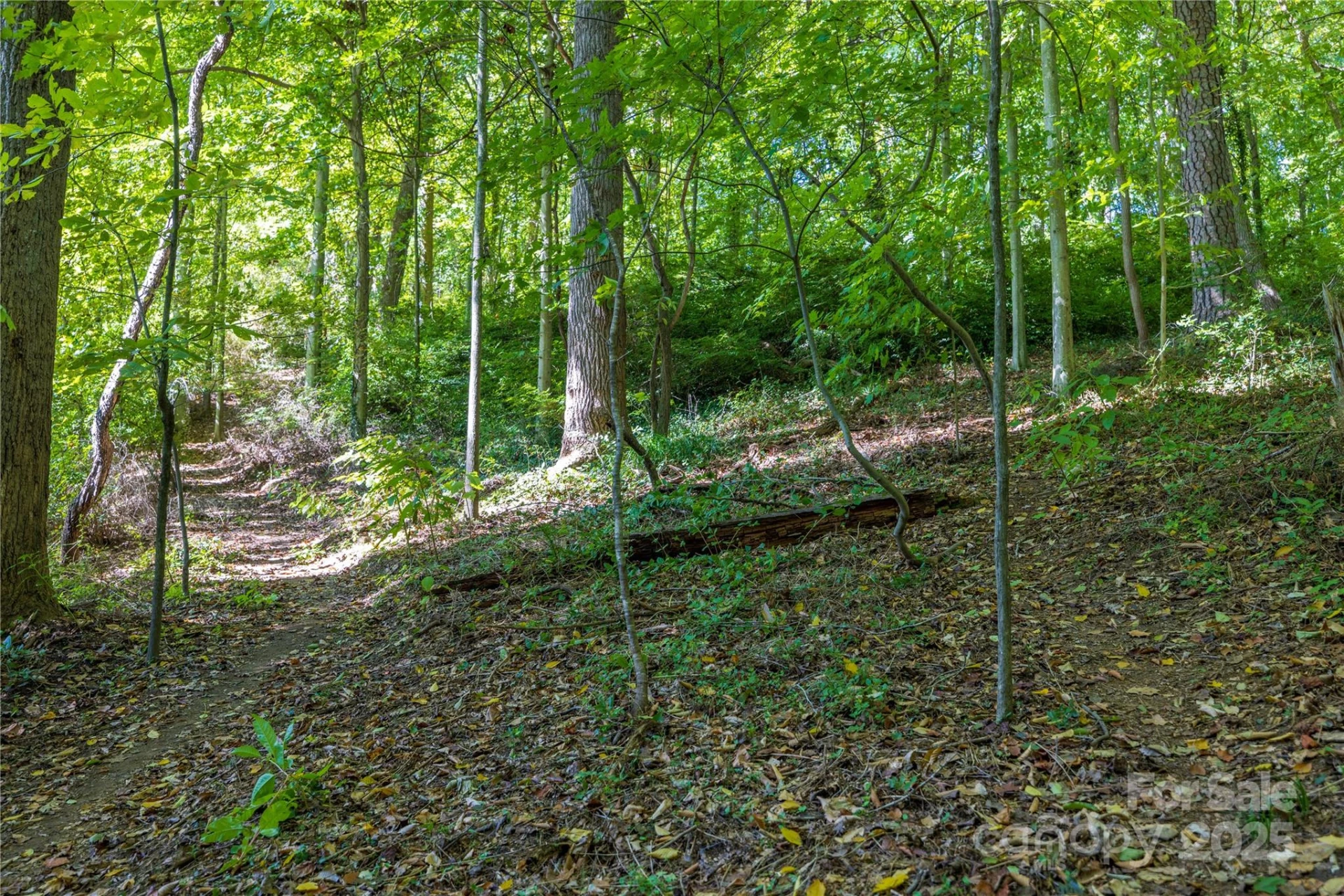 5 Orrinel Way - Photo 43
