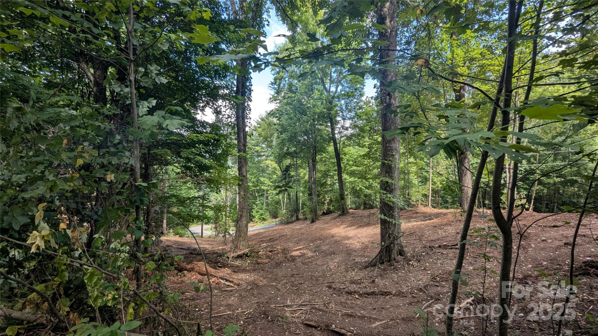 00 Apple Tree Court #2