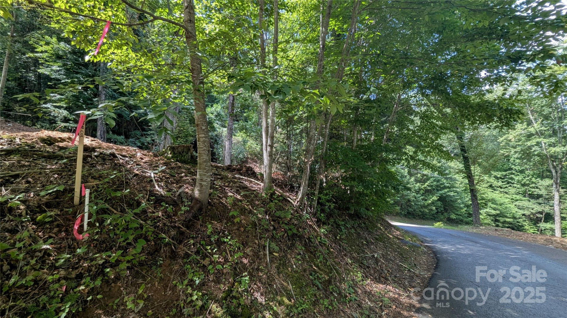 00 Apple Tree Court #2 - Photo 7