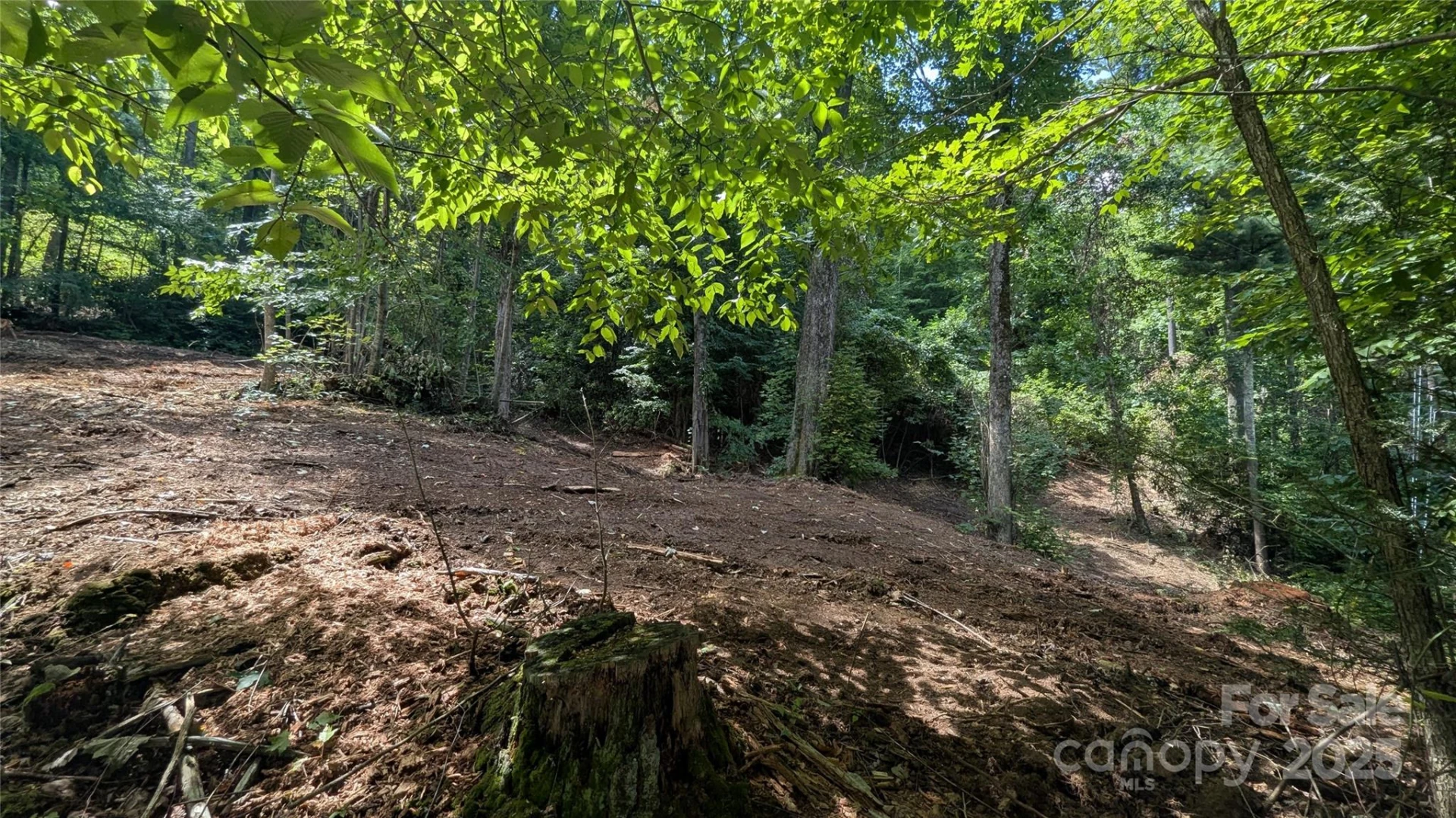 00 Apple Tree Court #2 - Photo 8