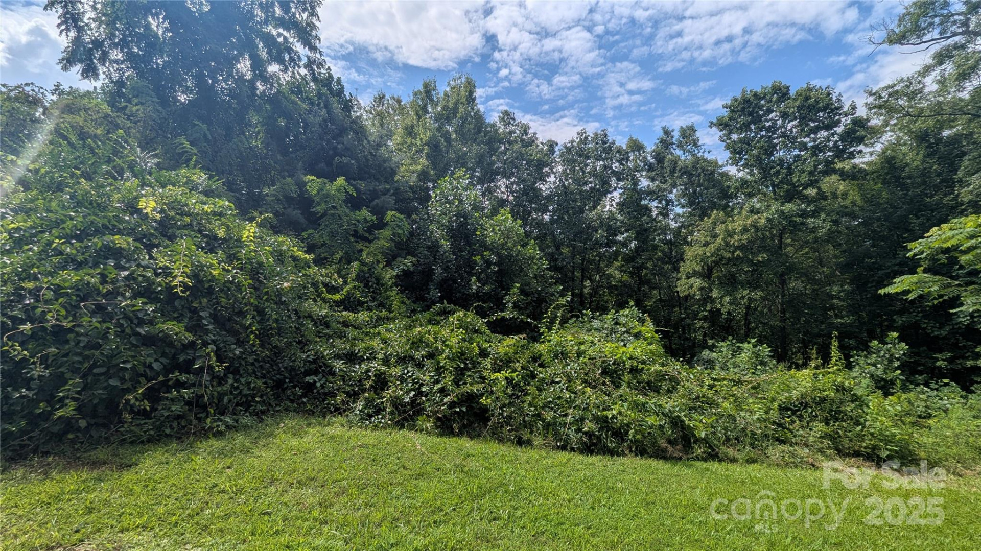 00 Pinewood Drive #7